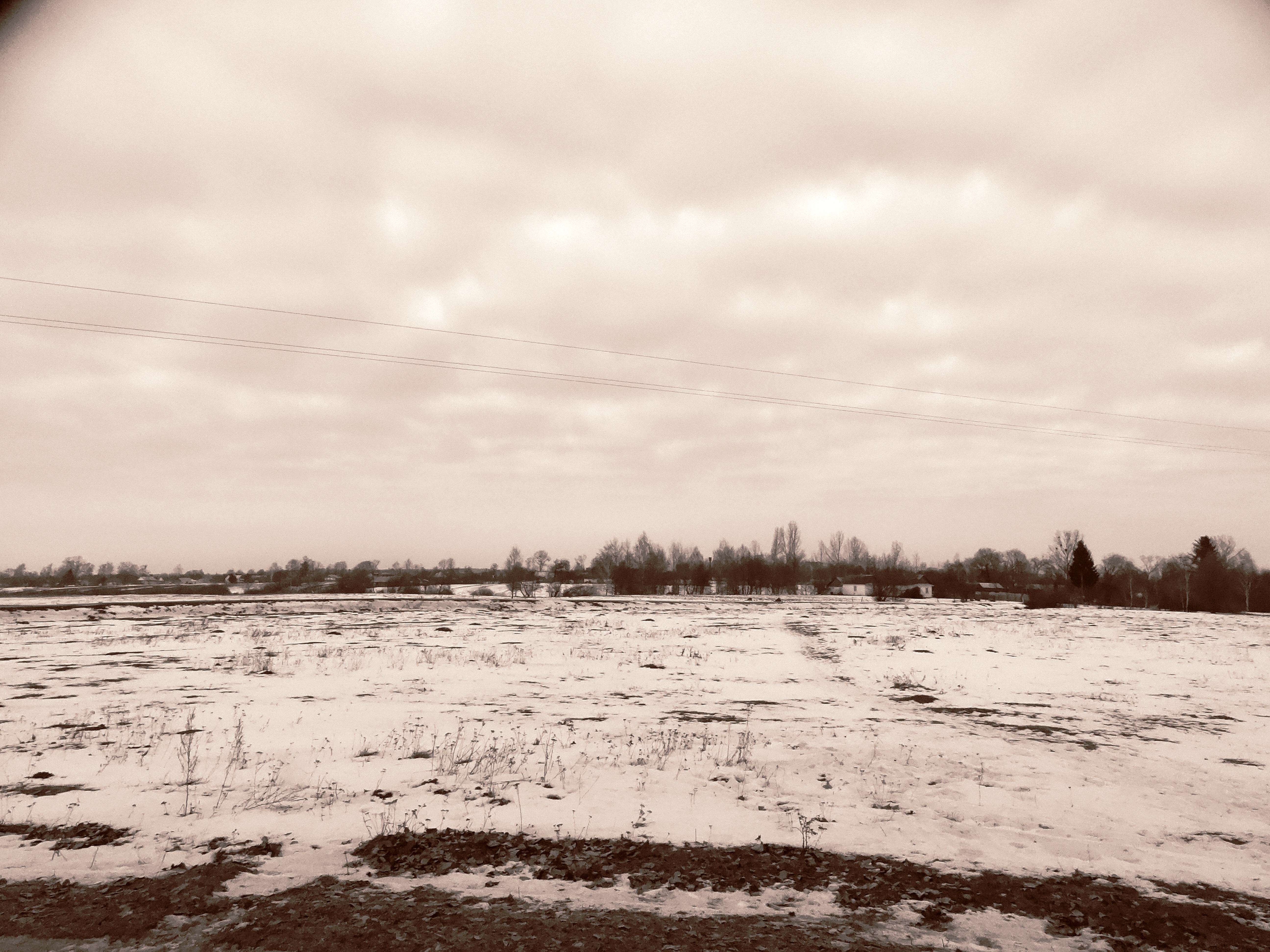 DSC07569.JPG