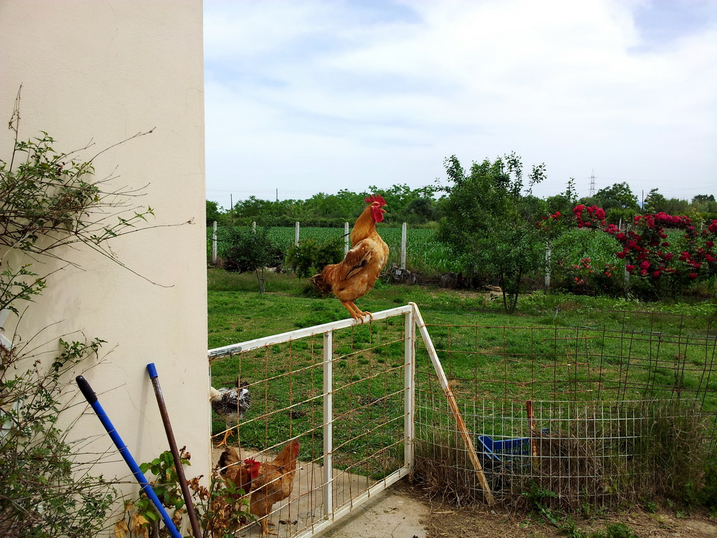 20190526_121032_resize.jpg
