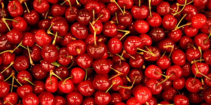 cereza1.jpg