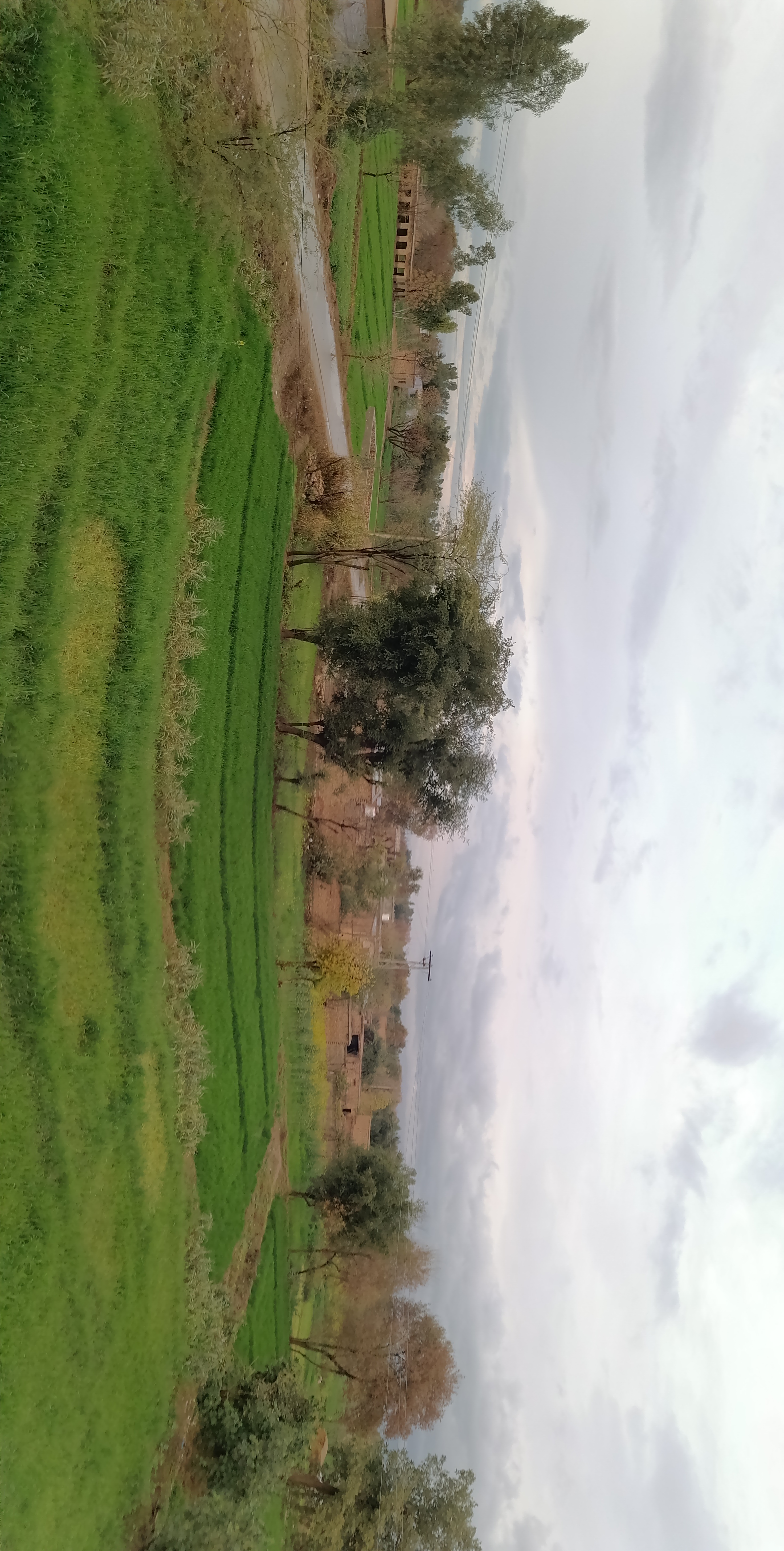 IMG_20220122_171951.jpg