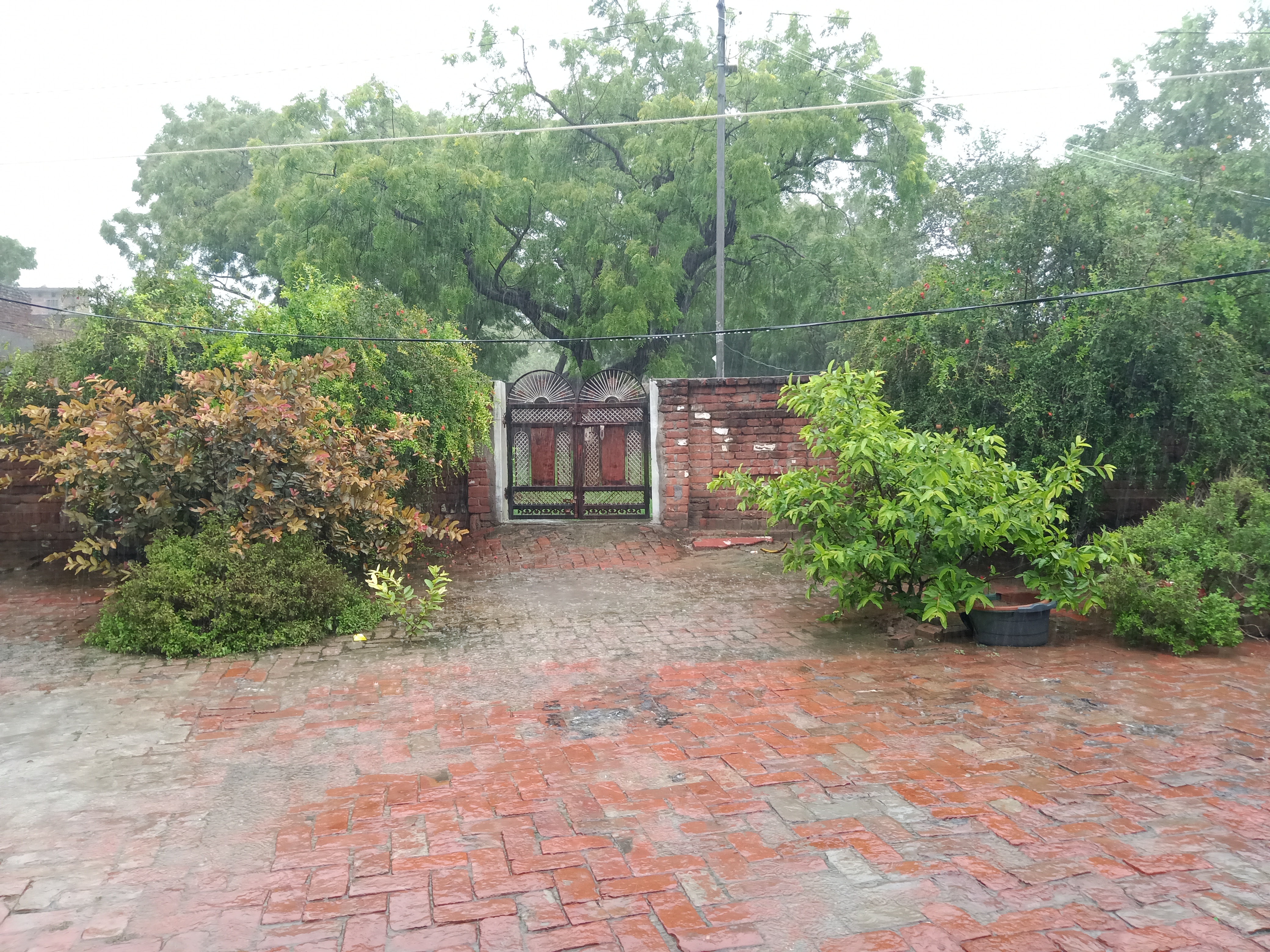 IMG20210728073655.jpg