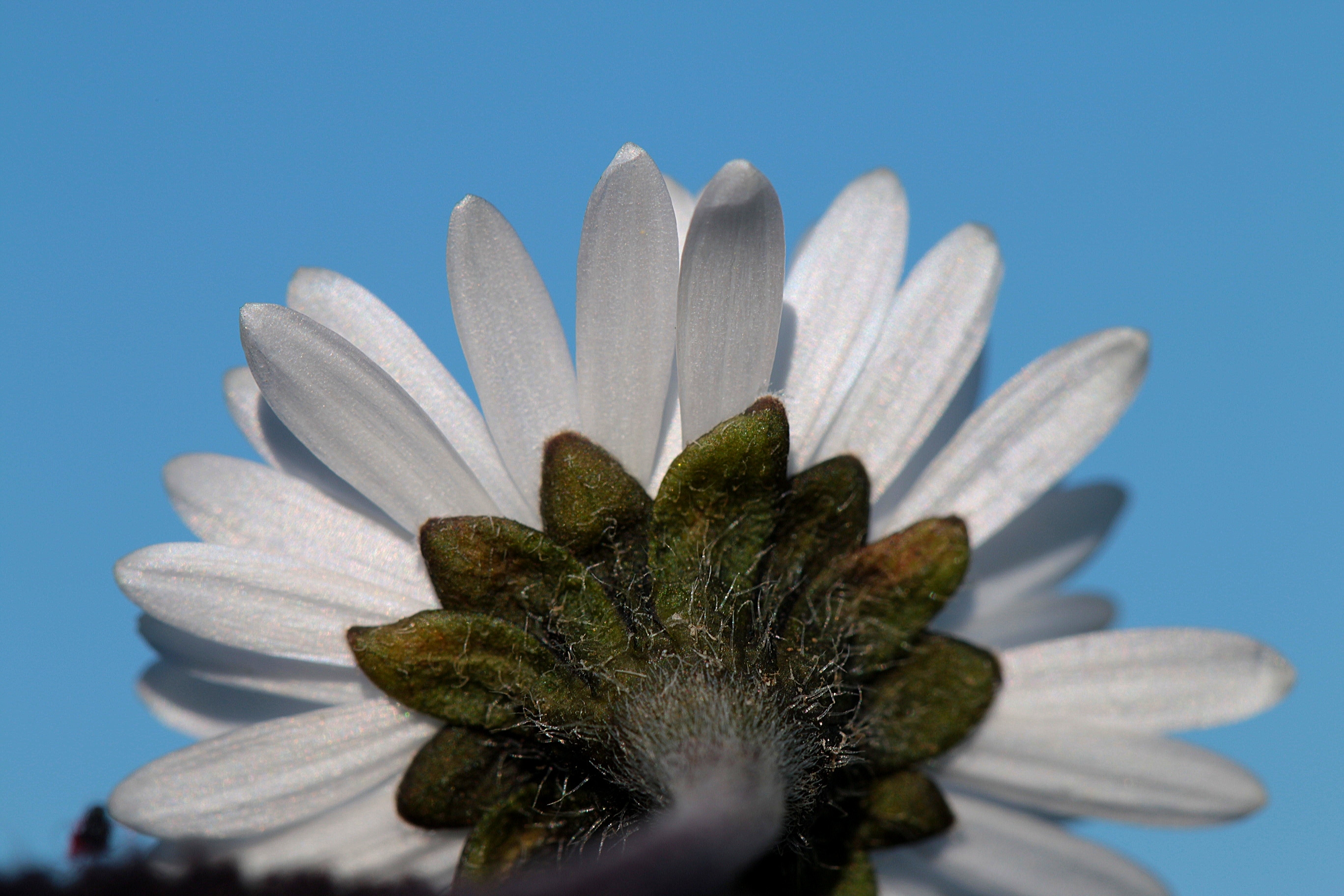 eyeemfiltered1582569865159.jpg