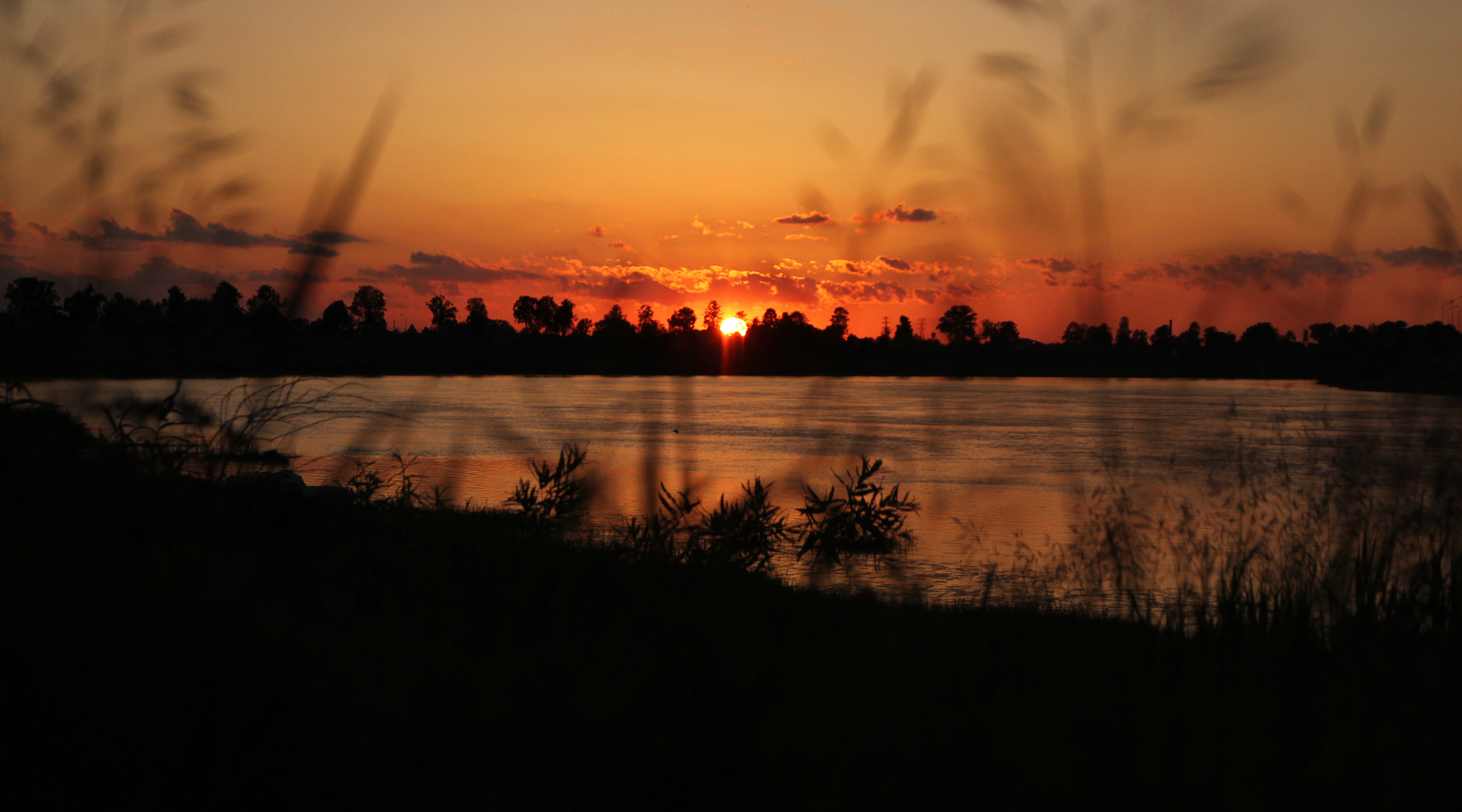 IMG_9119.JPG