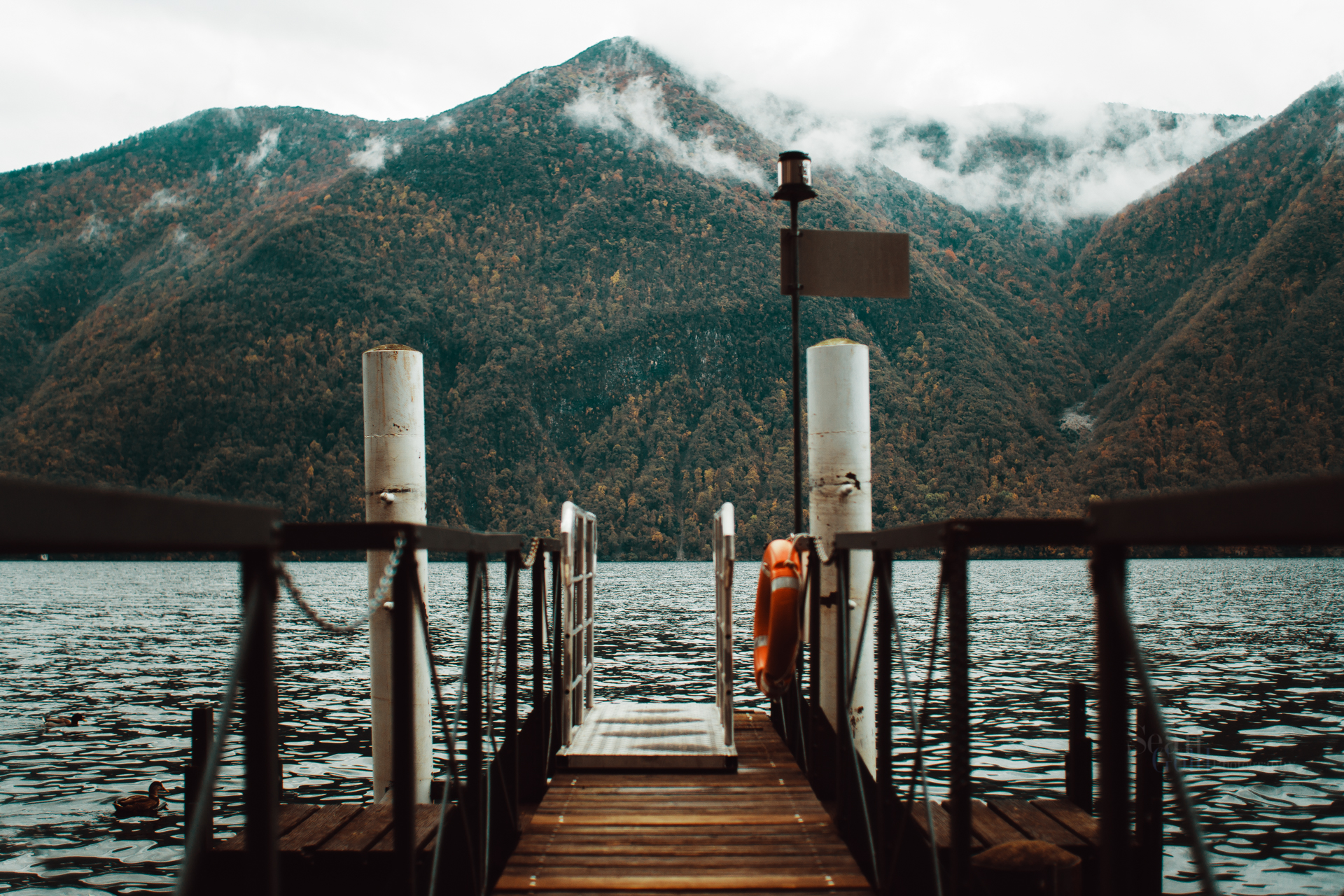 Sean_Gold_November 10, 2018_56630-WebExport.jpg