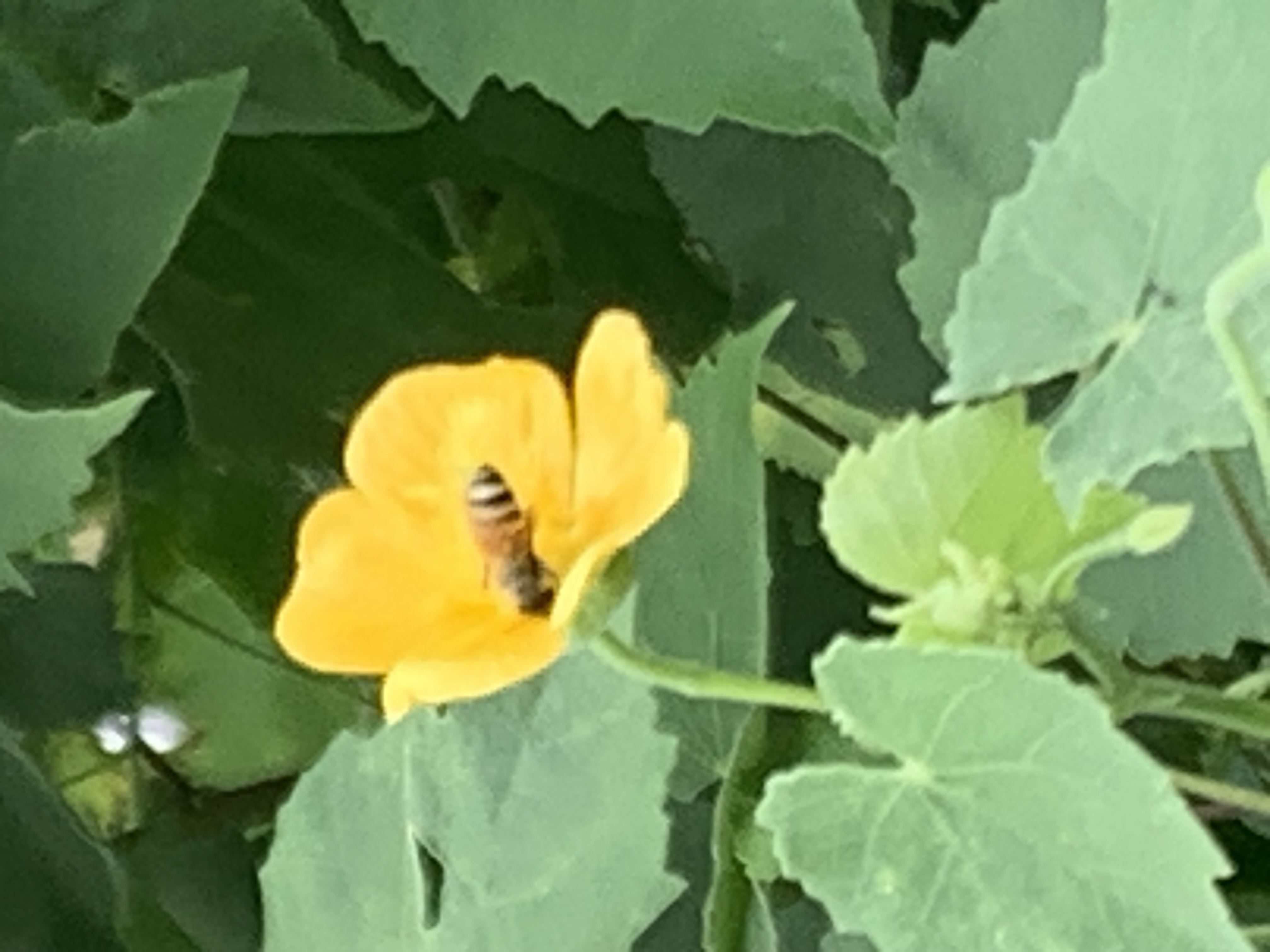nature619.jpg