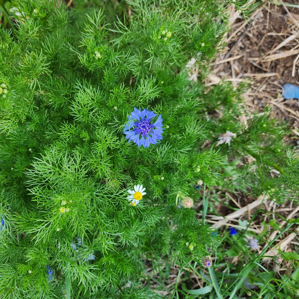 20260516_175033.jpg