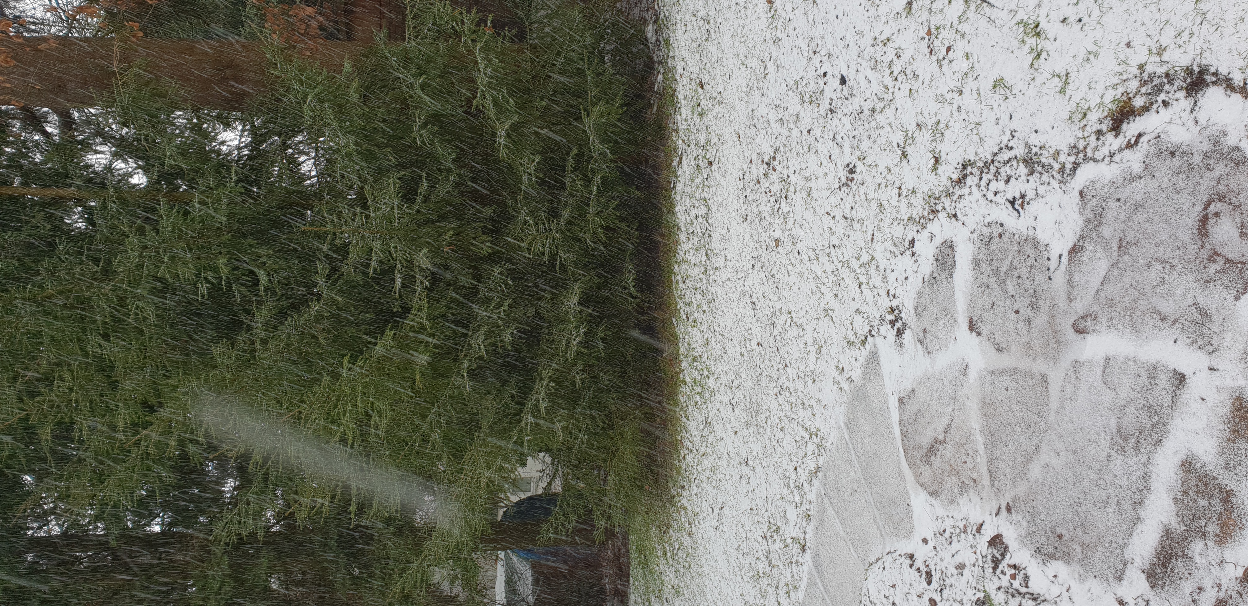 20220128_104104.jpg