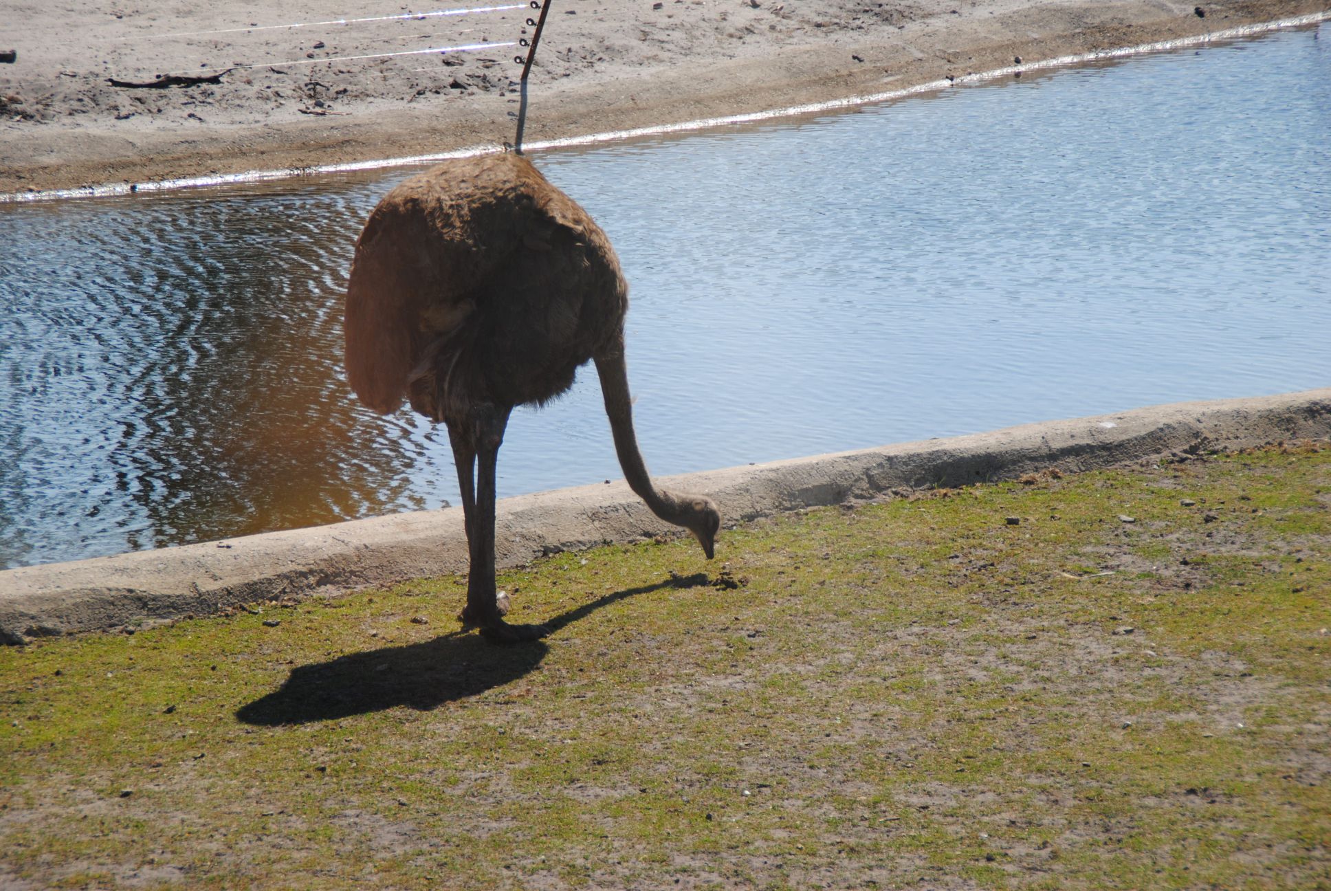 image045.jpg