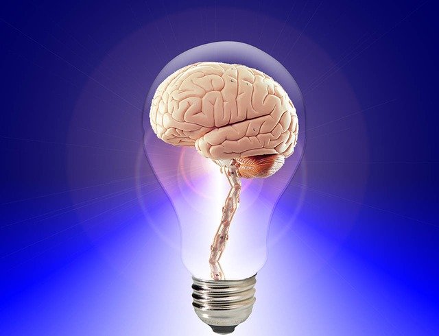 brain-gd4a508001_640.jpg