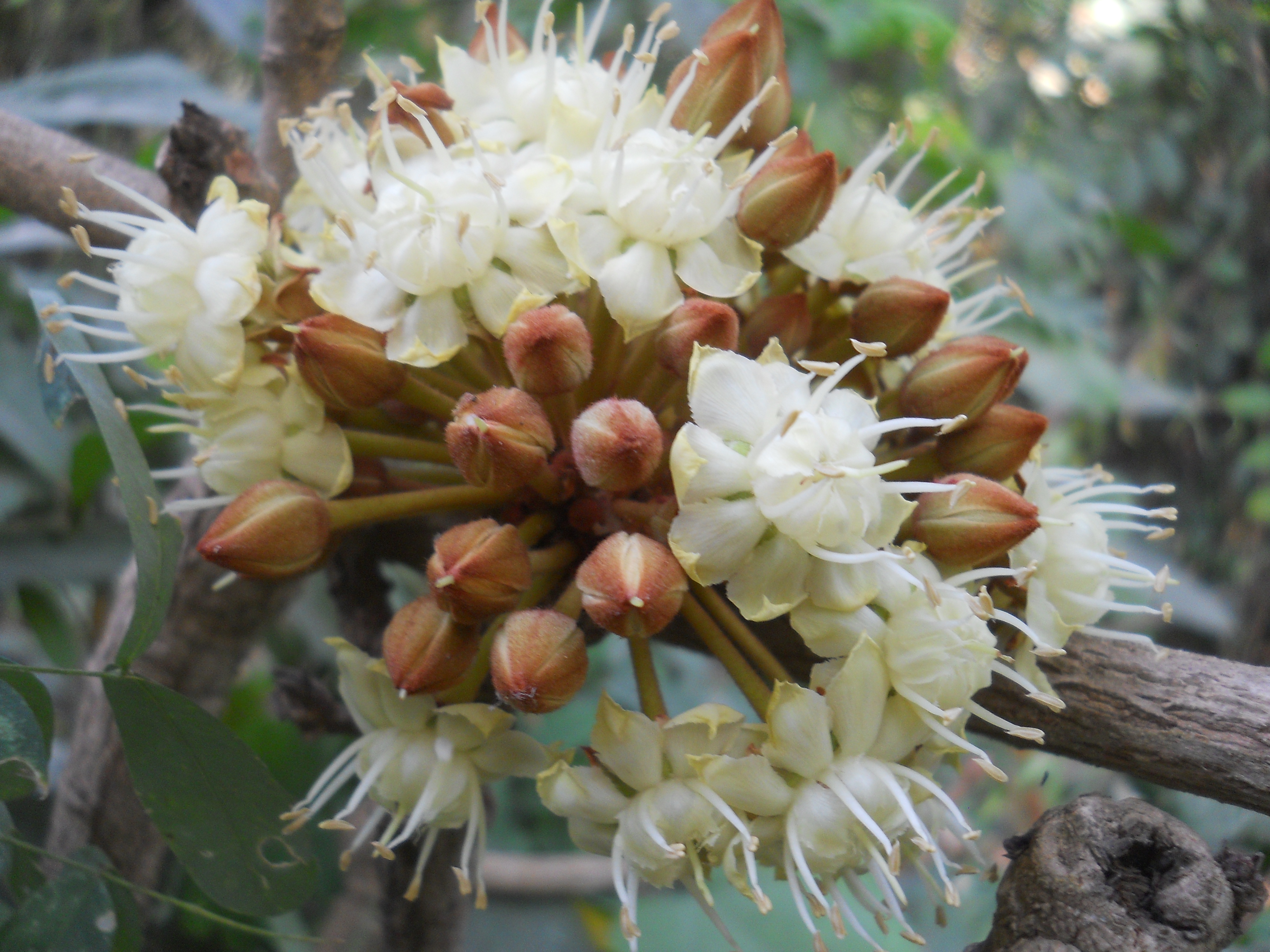 DSCN5318.JPG