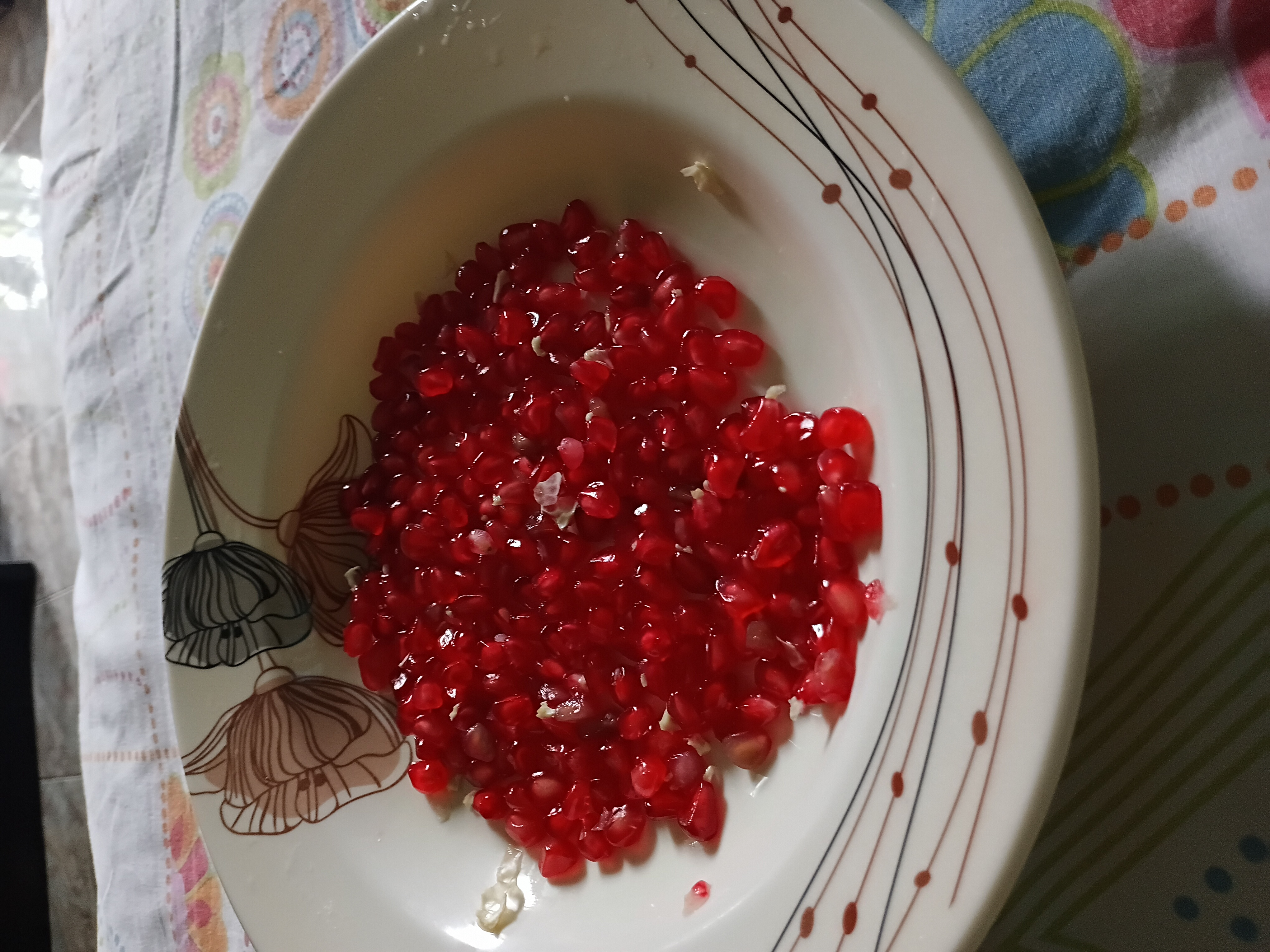 50873.jpg