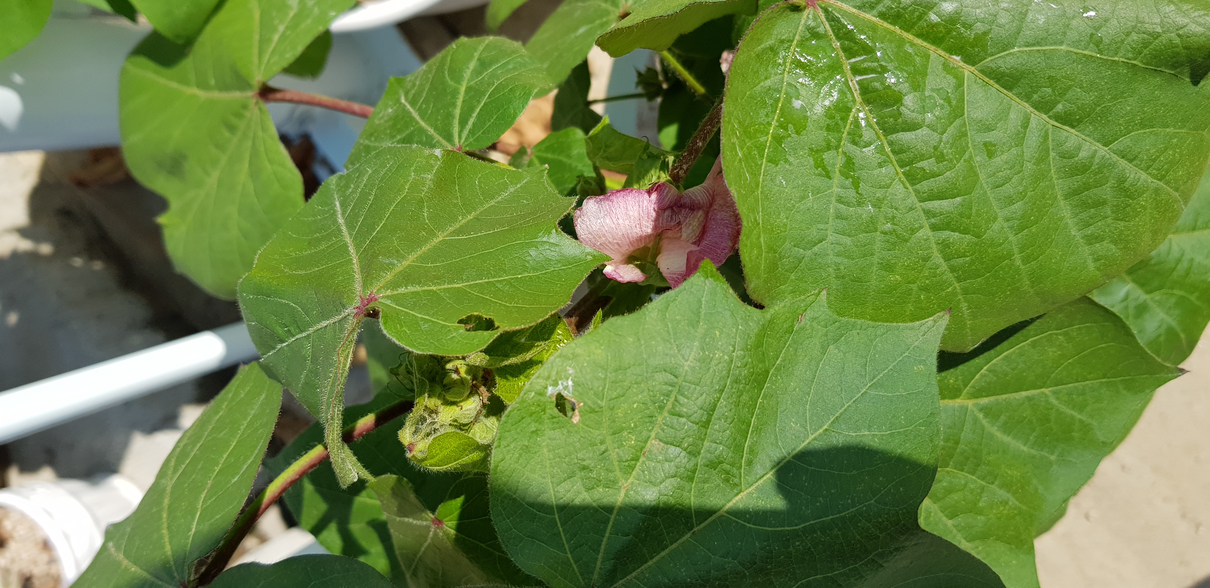 20180729_091648.jpg