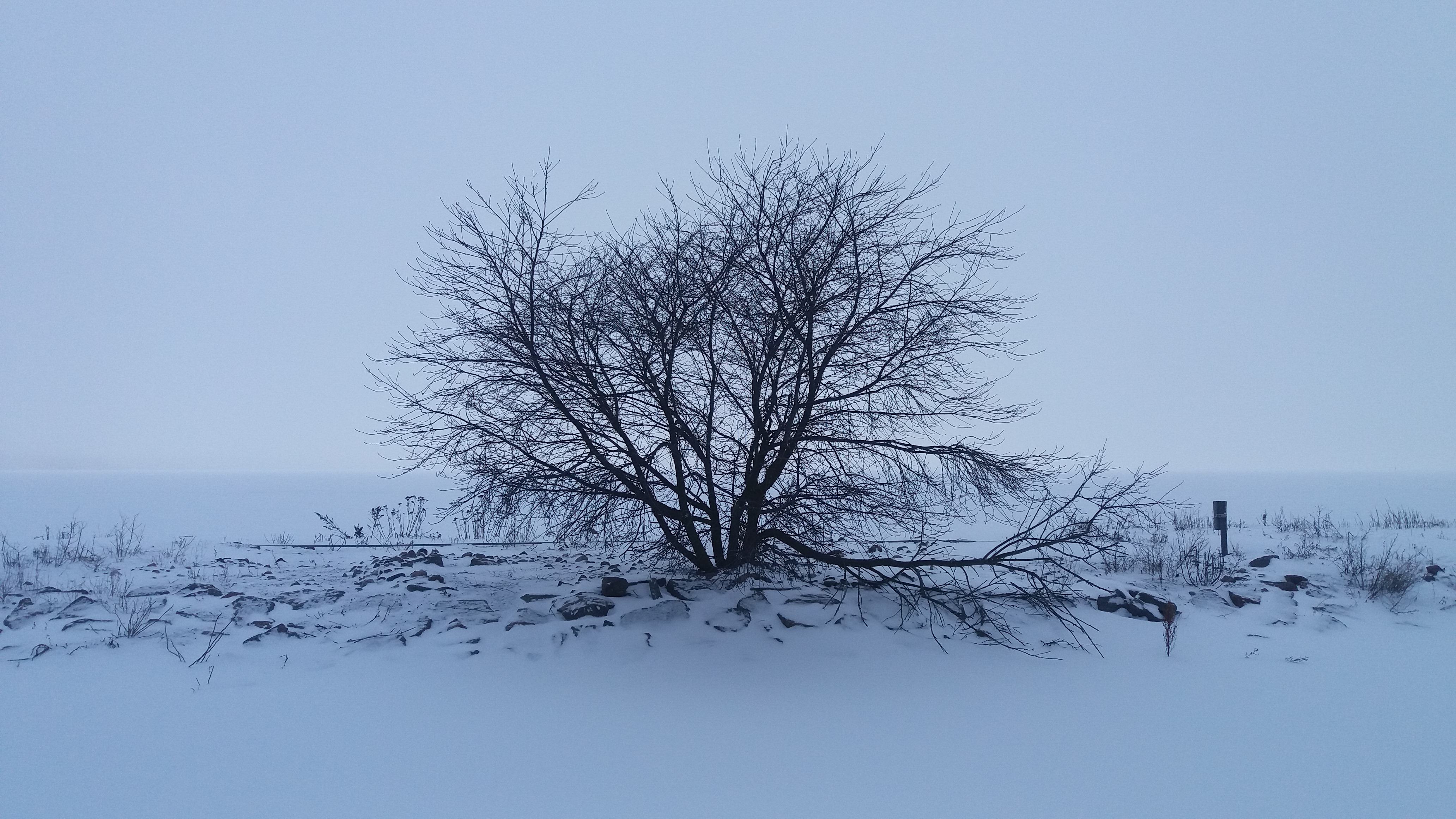 20180202_132659.jpg