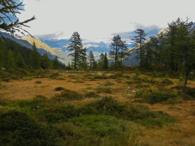paisaje-animacion.gif