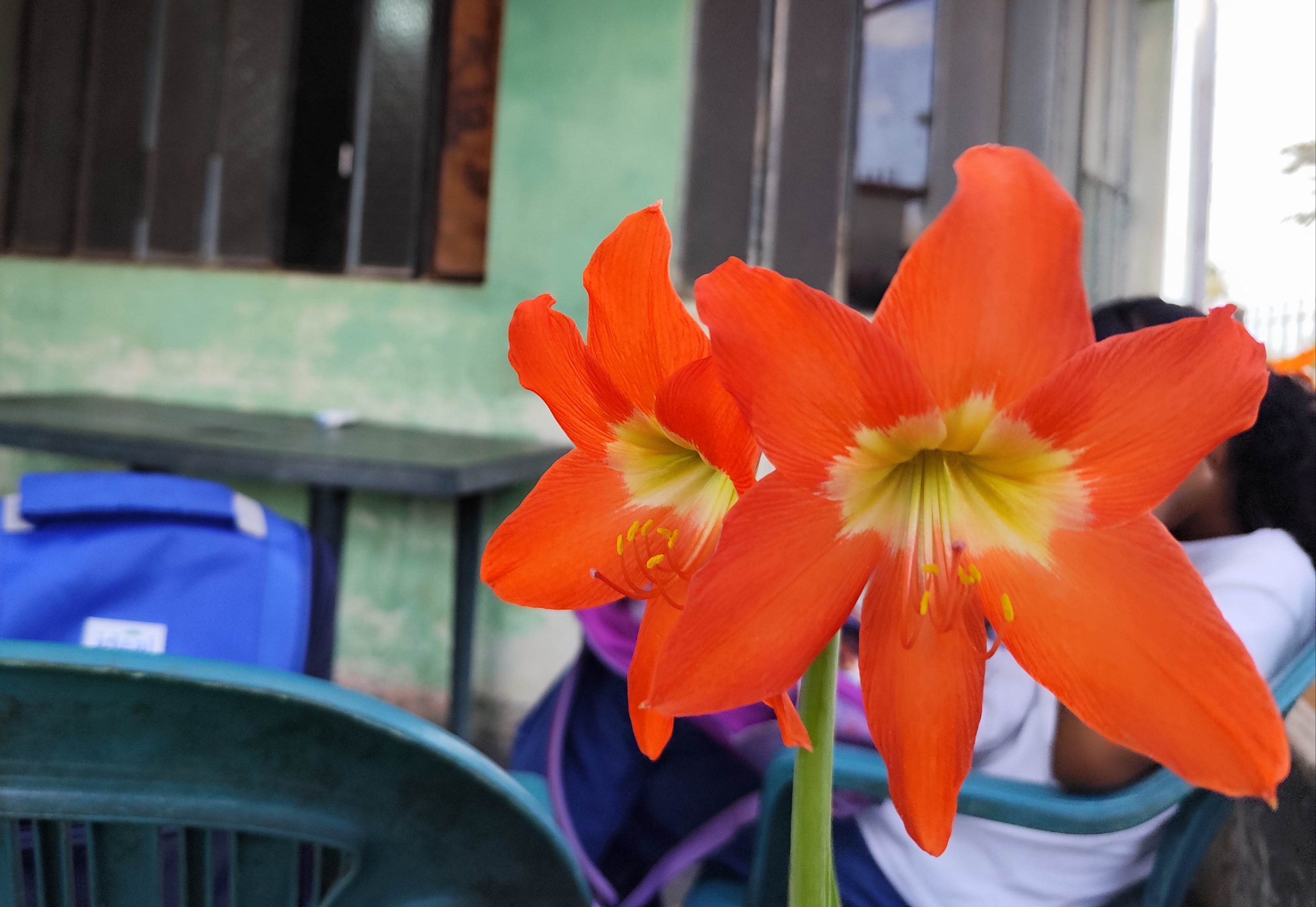 IMG_20260302_164423.jpg