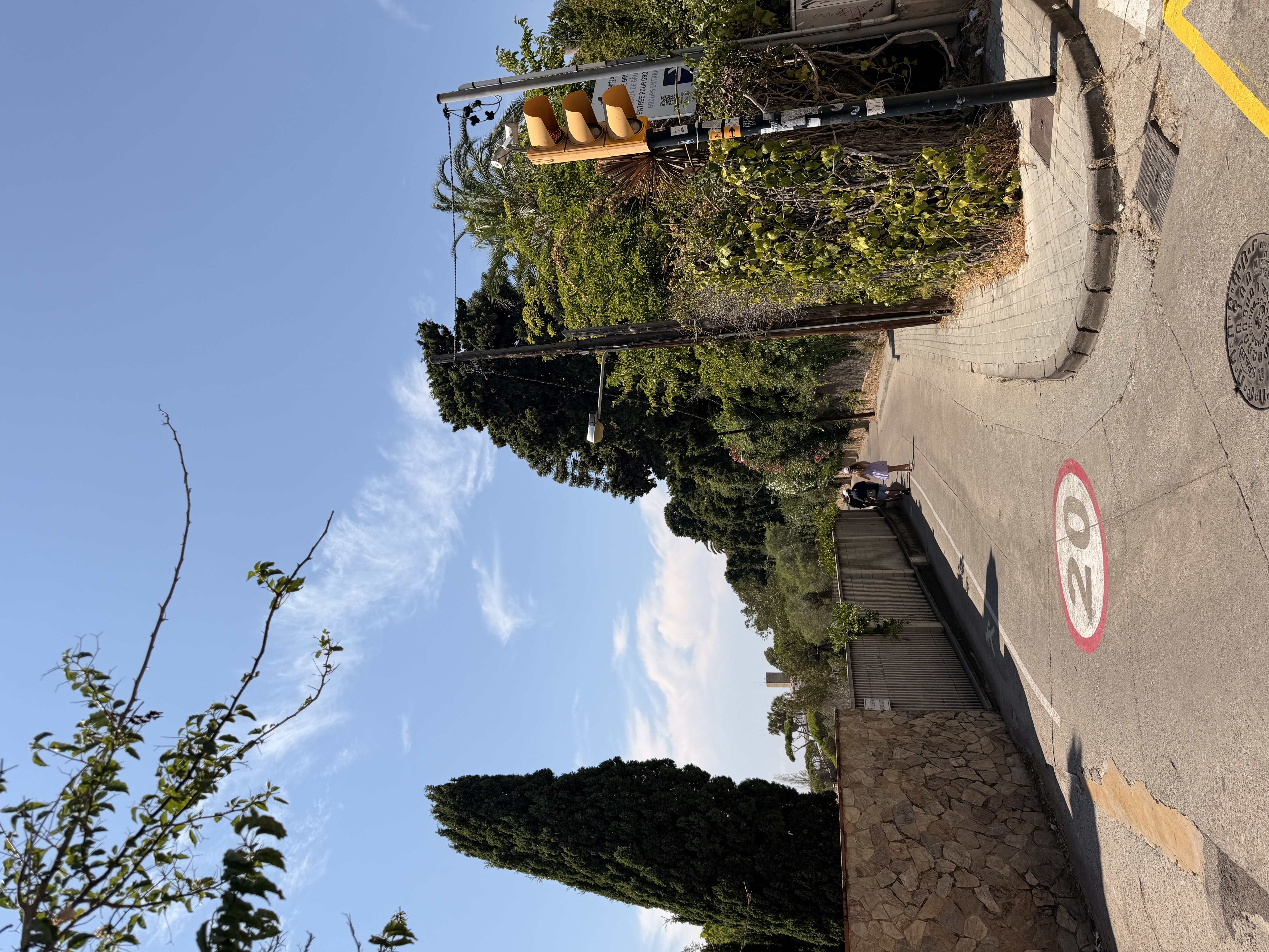 IMG_0238.jpeg