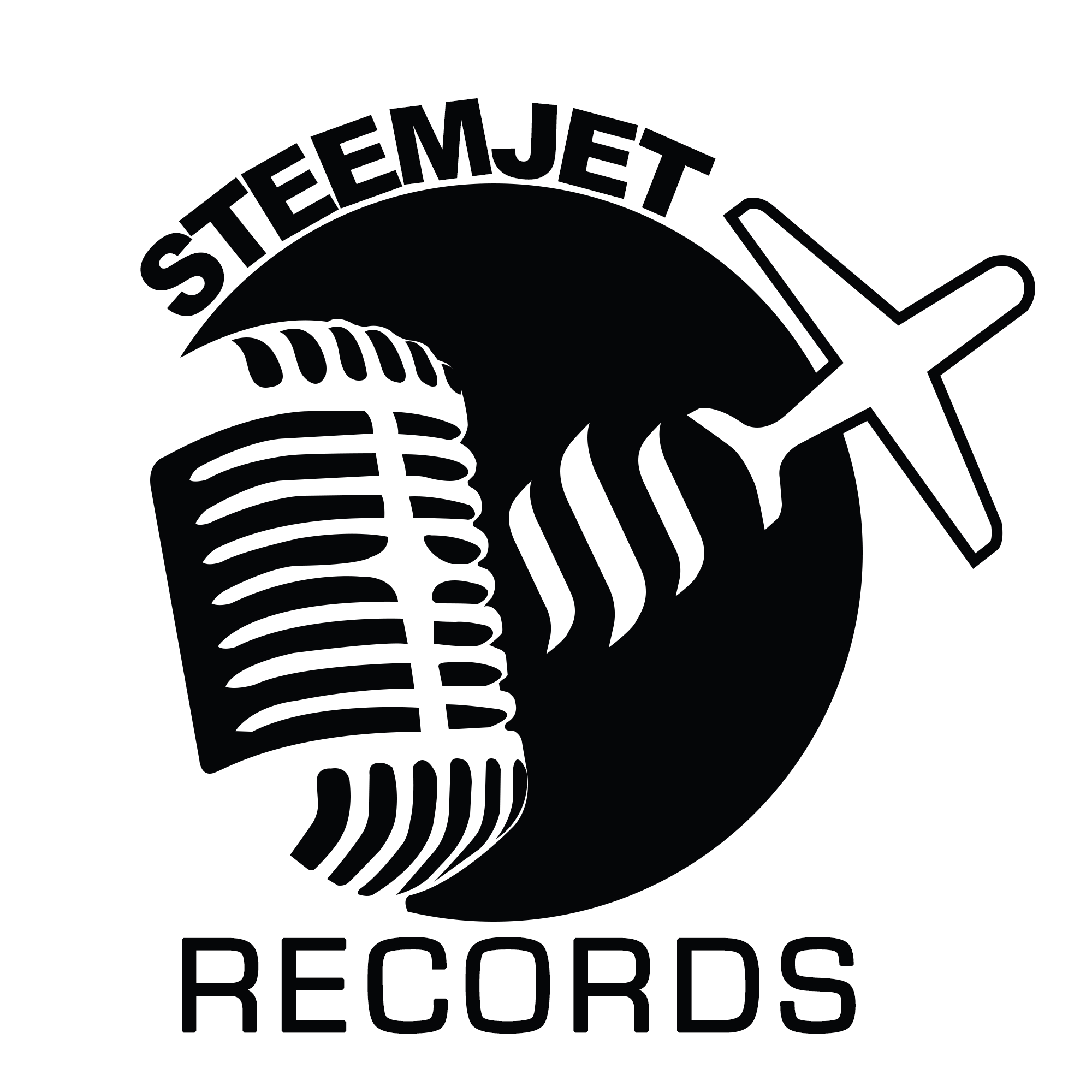 steenjet sistem logo by jacobite2.png