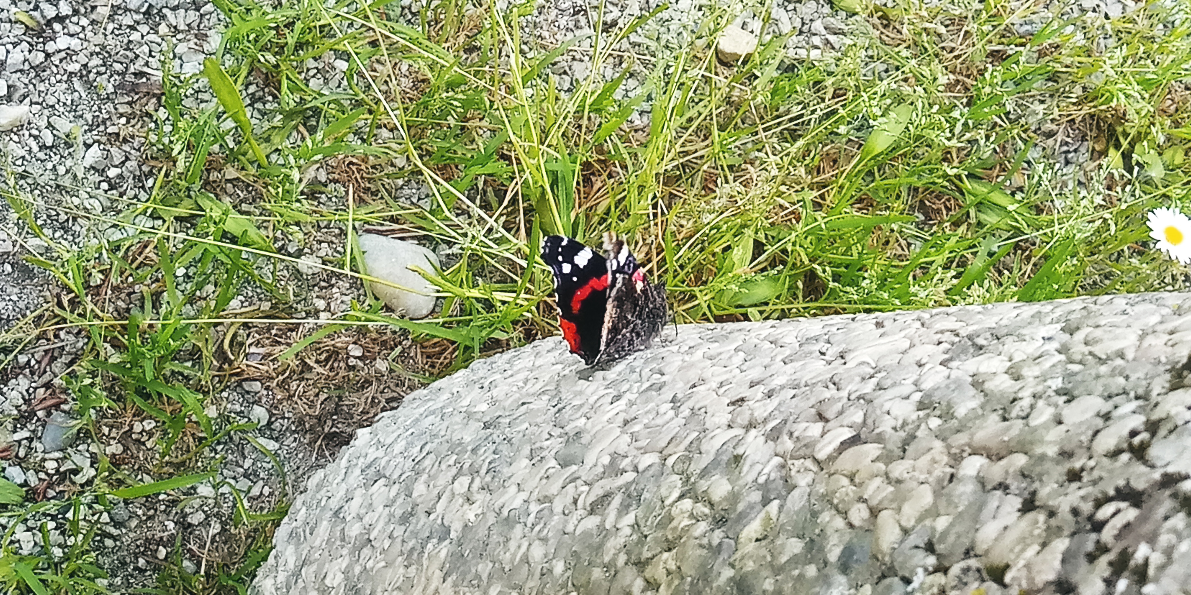 20220513_150240.jpg