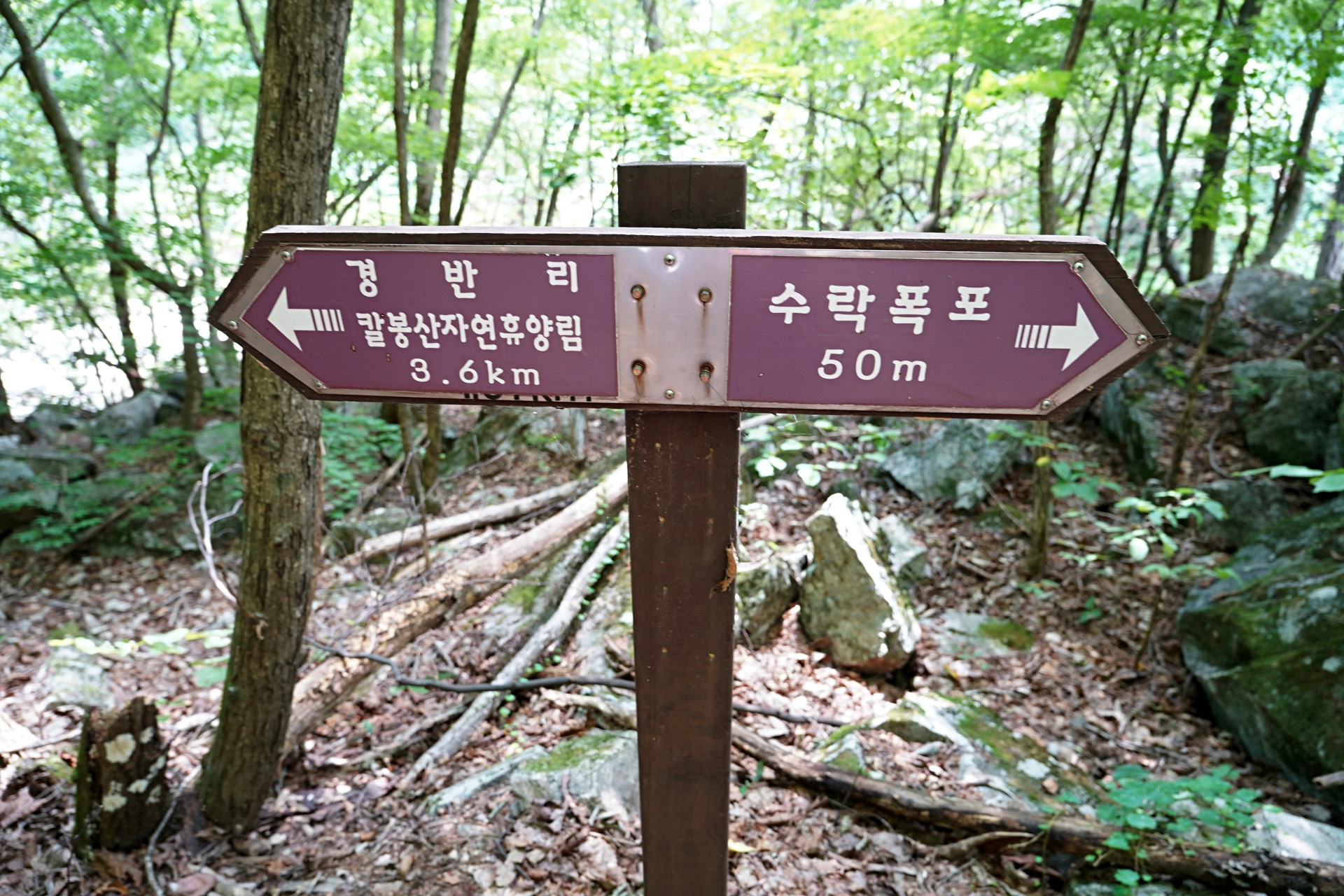 b-S260807-122256.jpg
