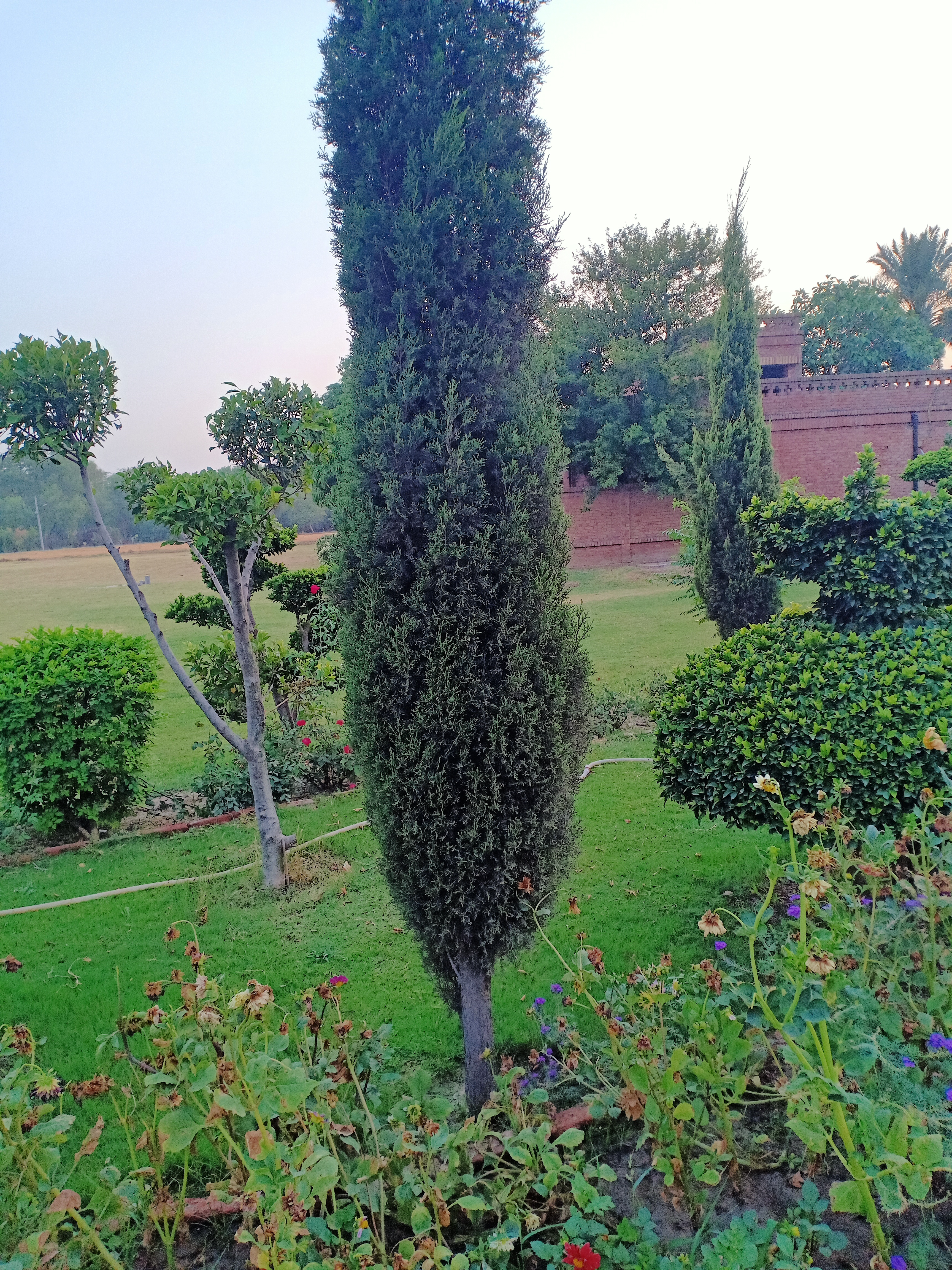 IMG20220509183950.jpg