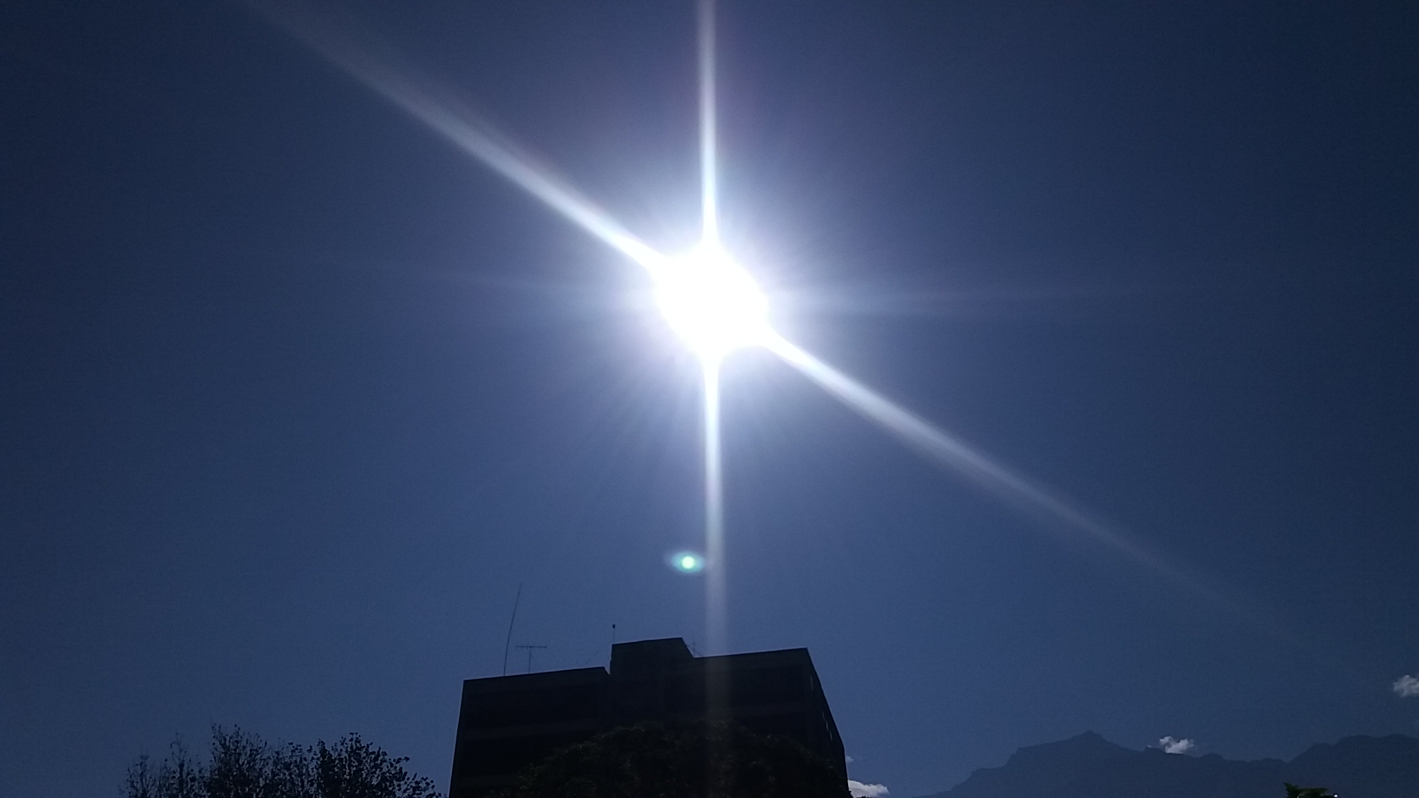 20220122_100115.jpg