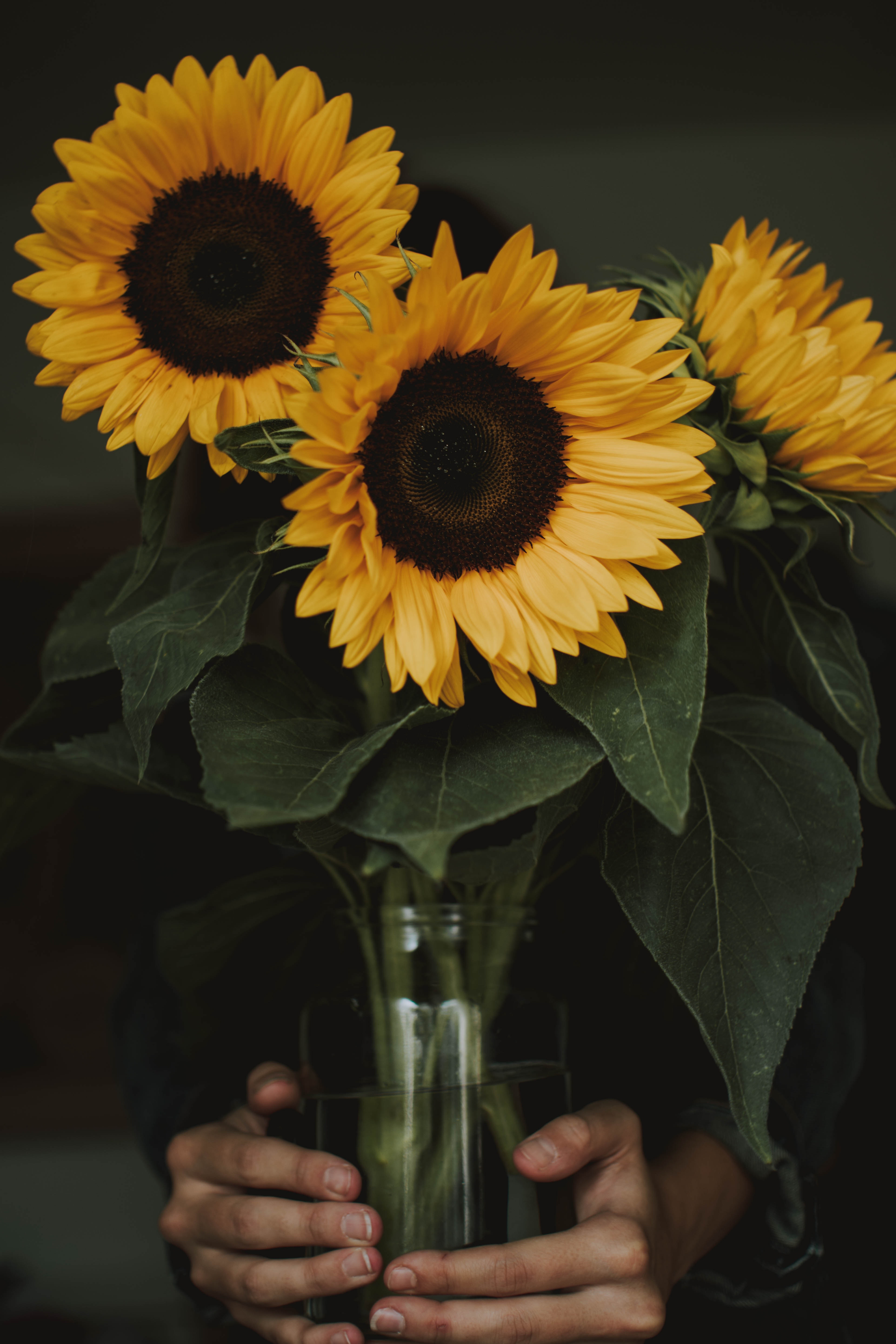 pexels-lilartsy-1390433.jpg