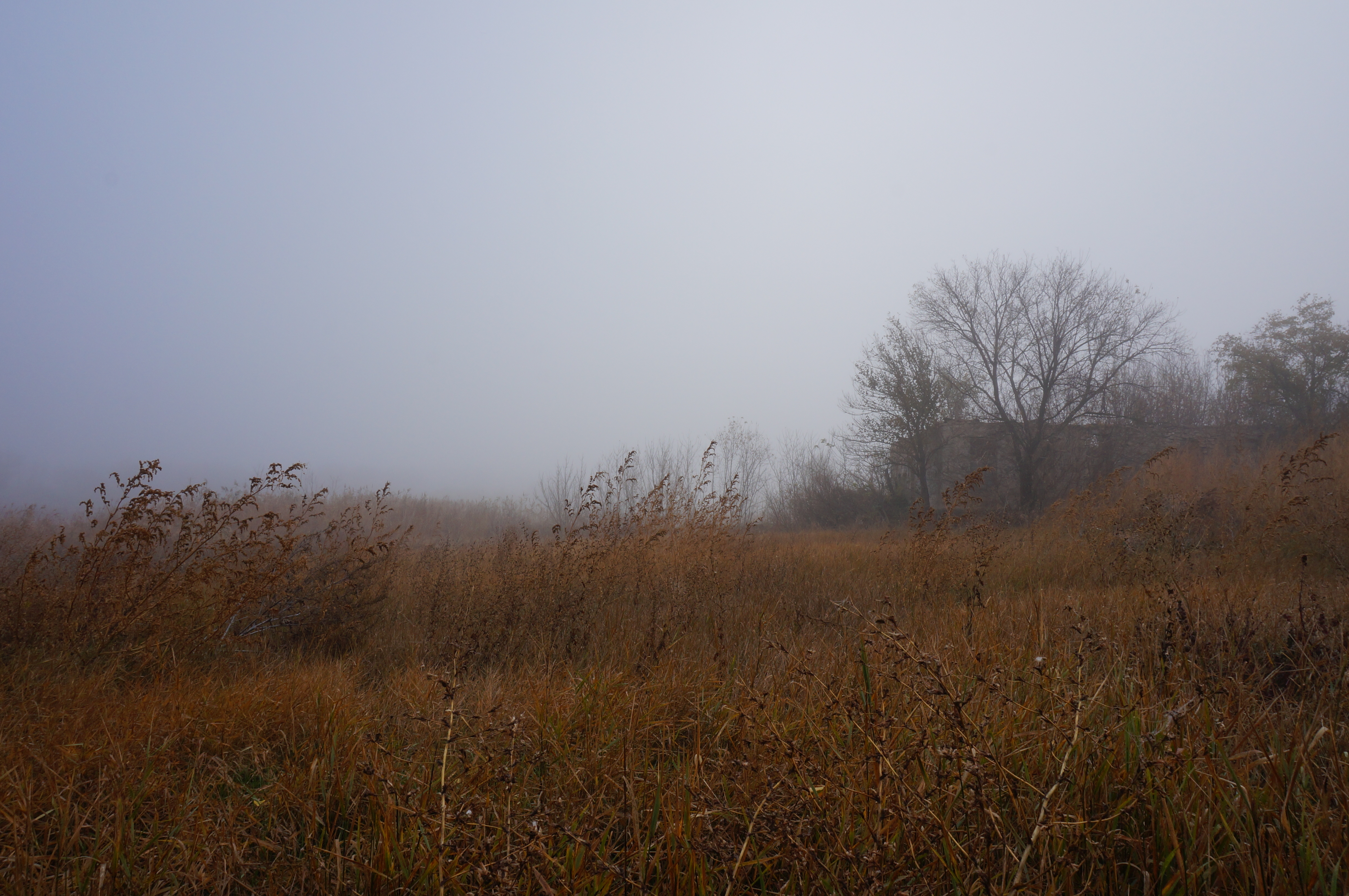 DSC01591.JPG