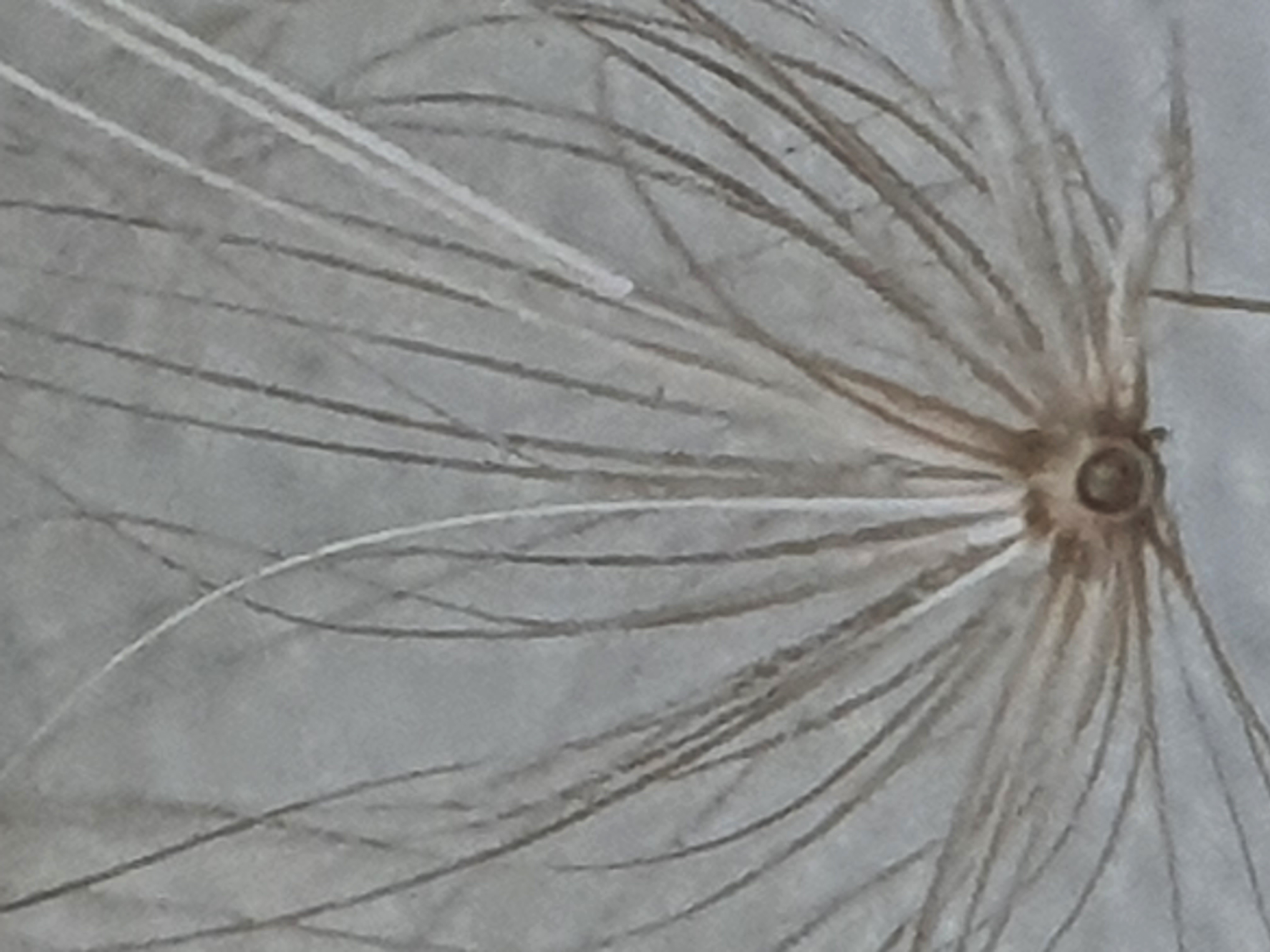 20260421_130001.jpg