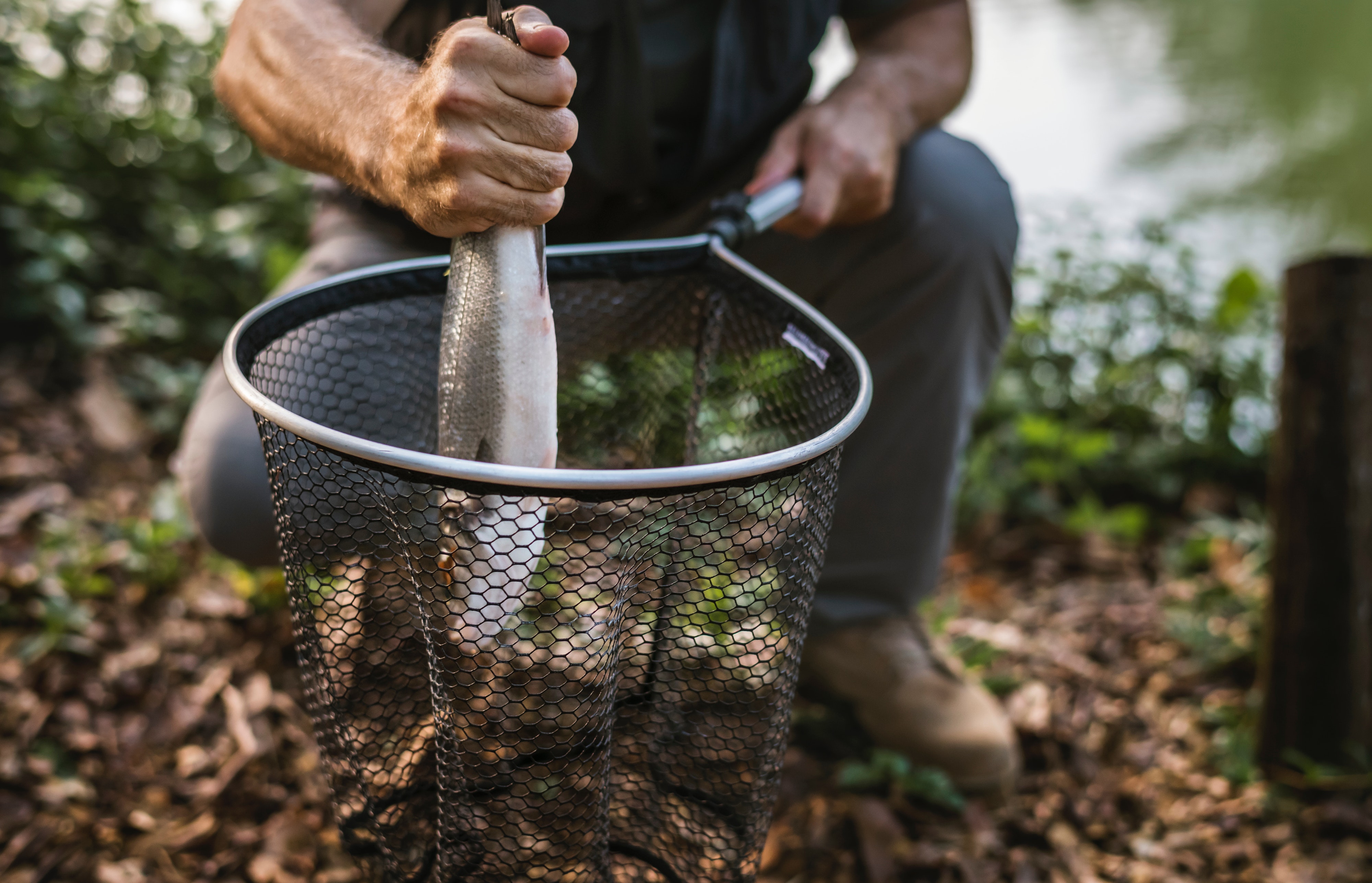 catch-fish-fisherman-1253595.jpg