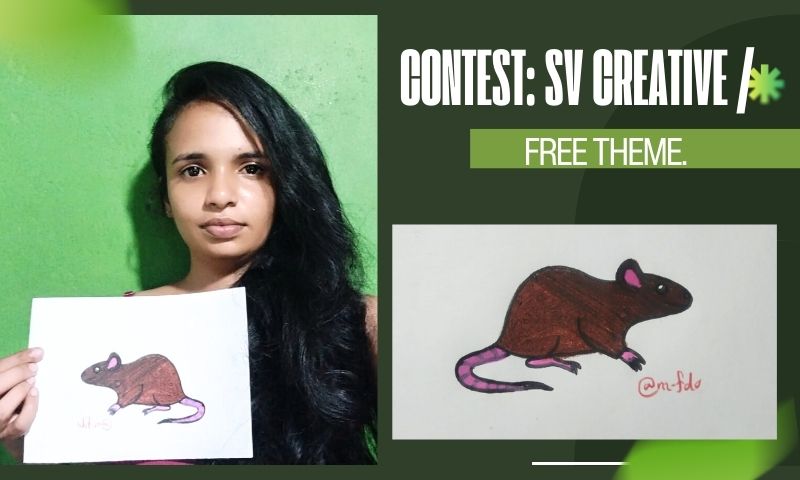 Contest SV Creative (2).jpg
