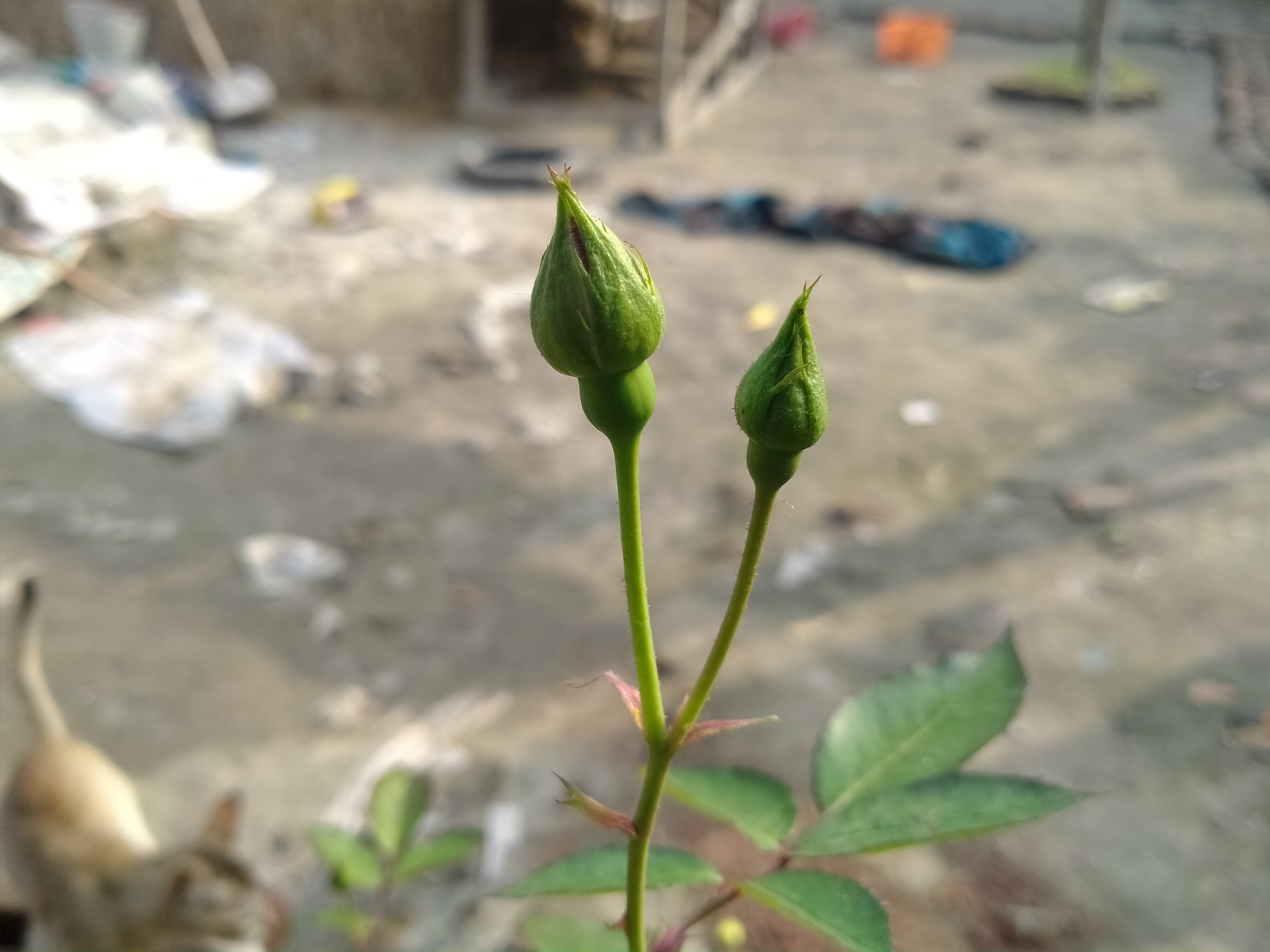 IMG20220208150931.jpg