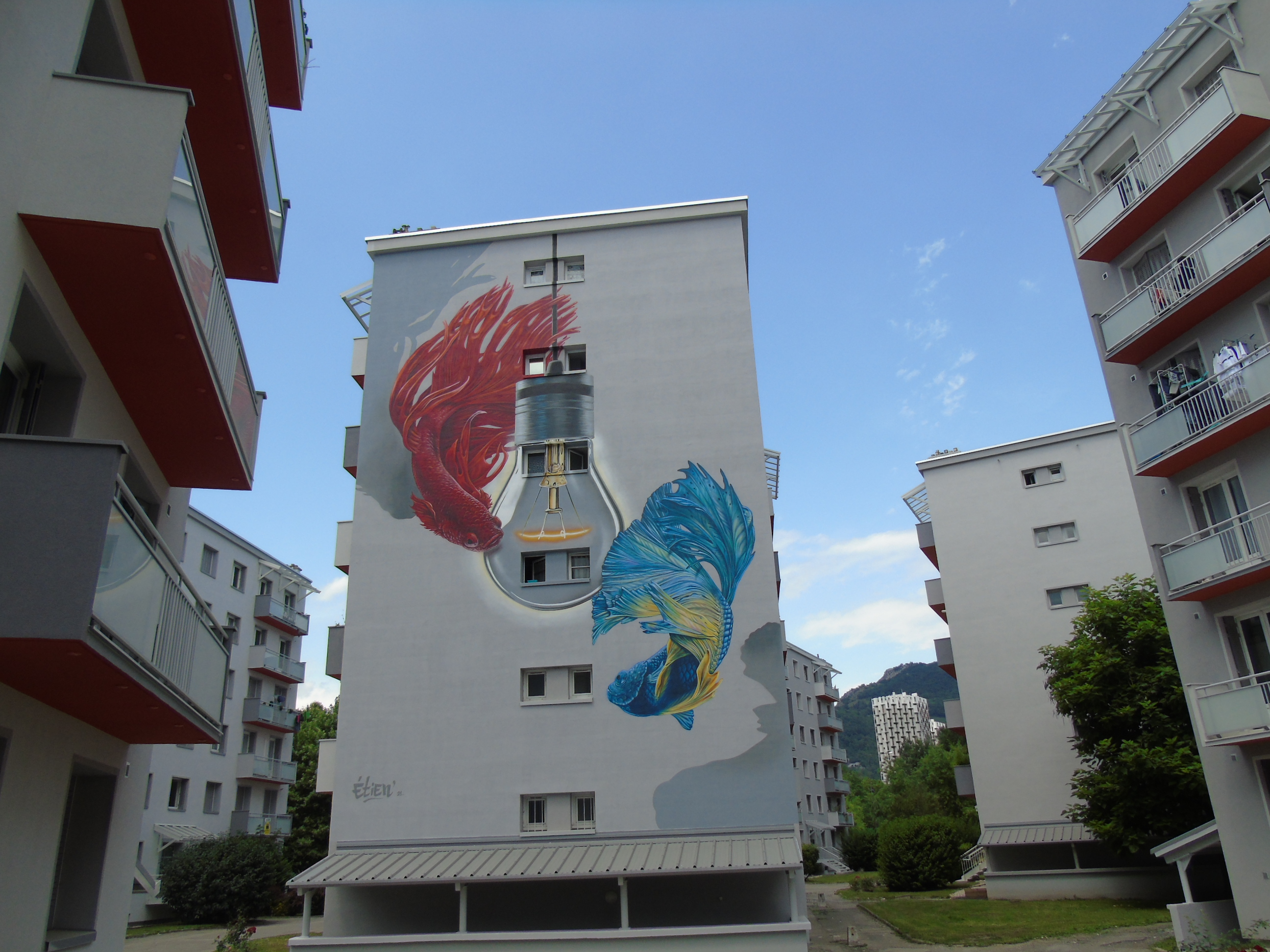 etien2021legallieni (8) - Copie.JPG