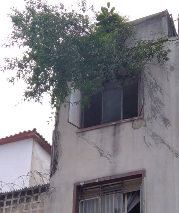 fotocortada1.jpg