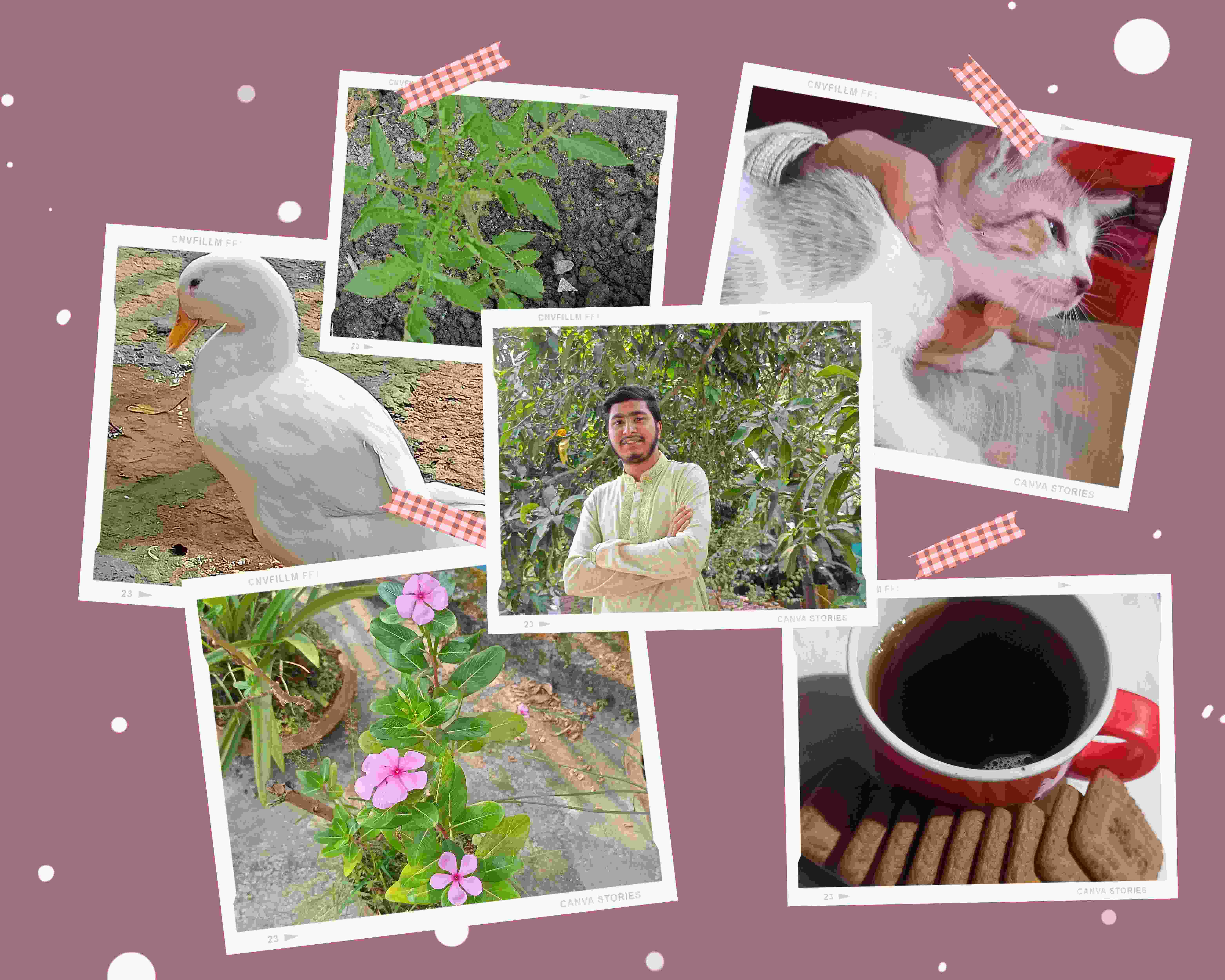 Retro Friends Photo Collage (1).jpg
