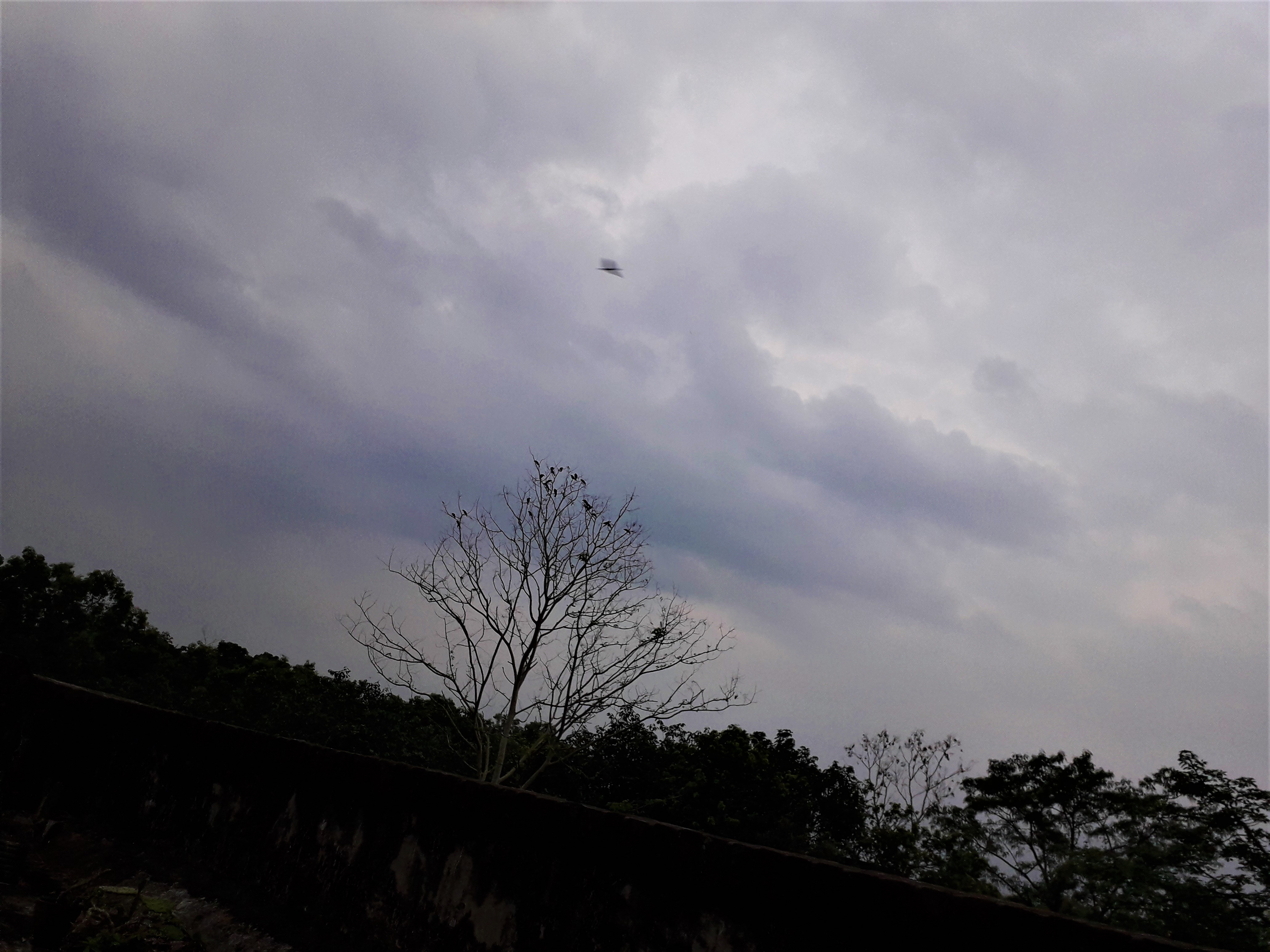 20190523_184556.jpg