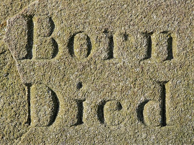 born-1264699__480.jpg