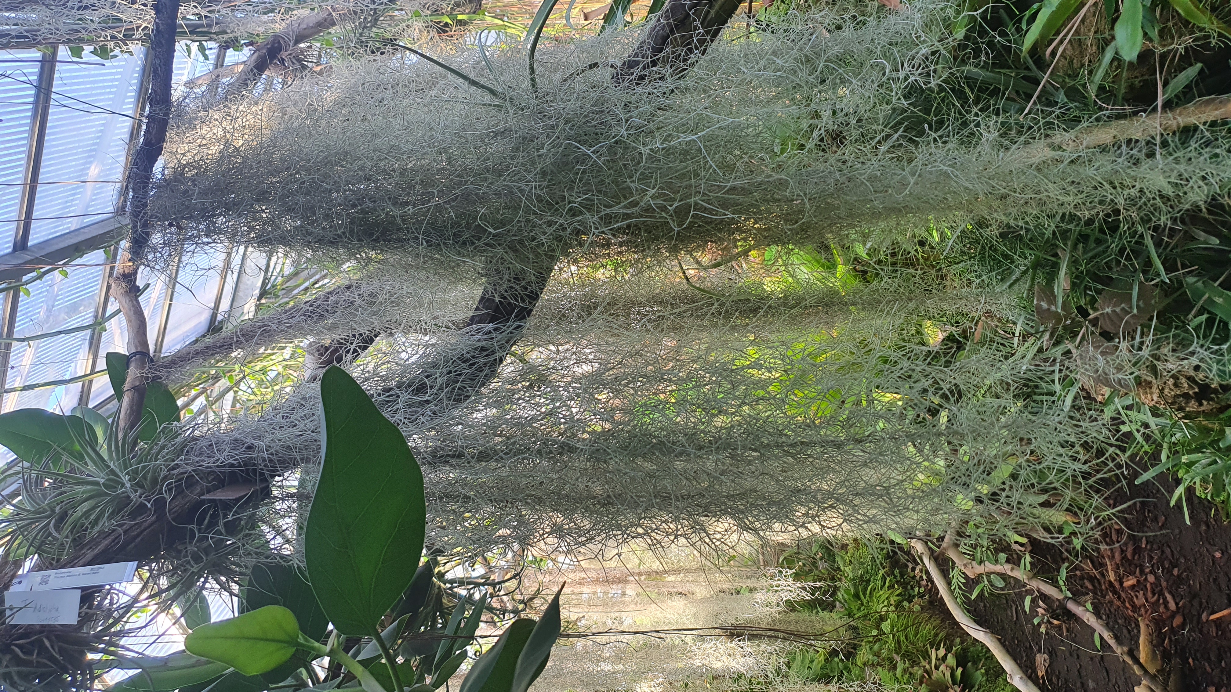 20220912_165931.jpg