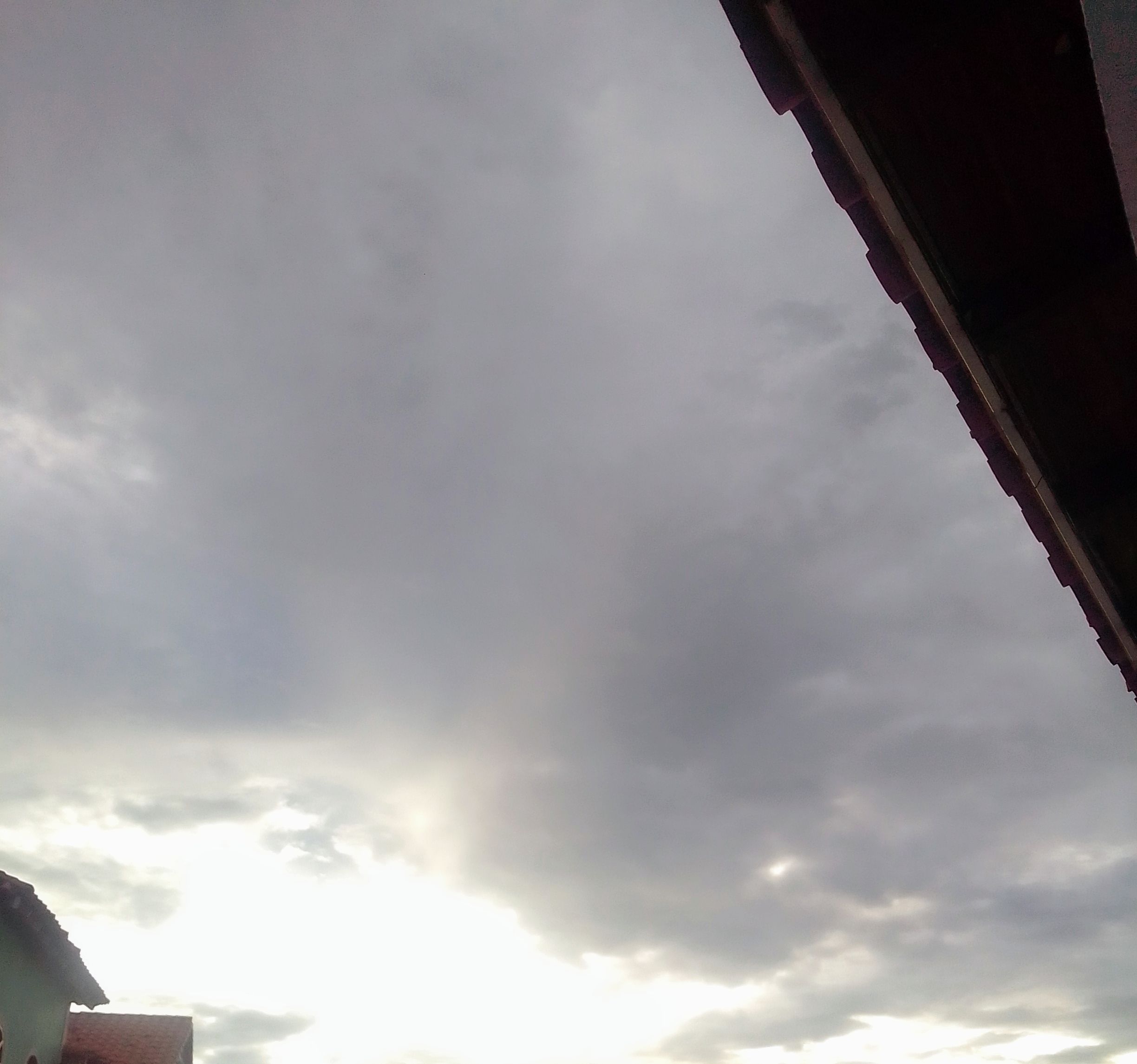 IMG_20211028_071143~2.jpg