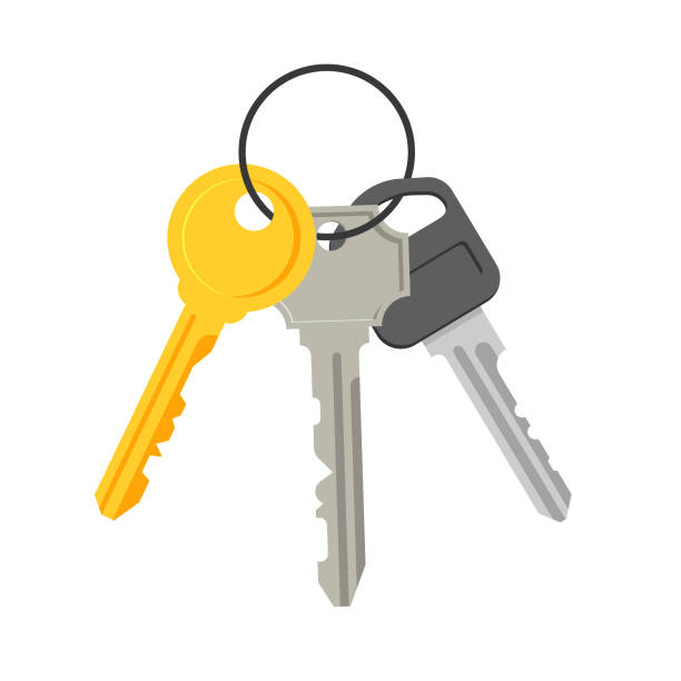 istockphoto-1263447798-612x612.jpg