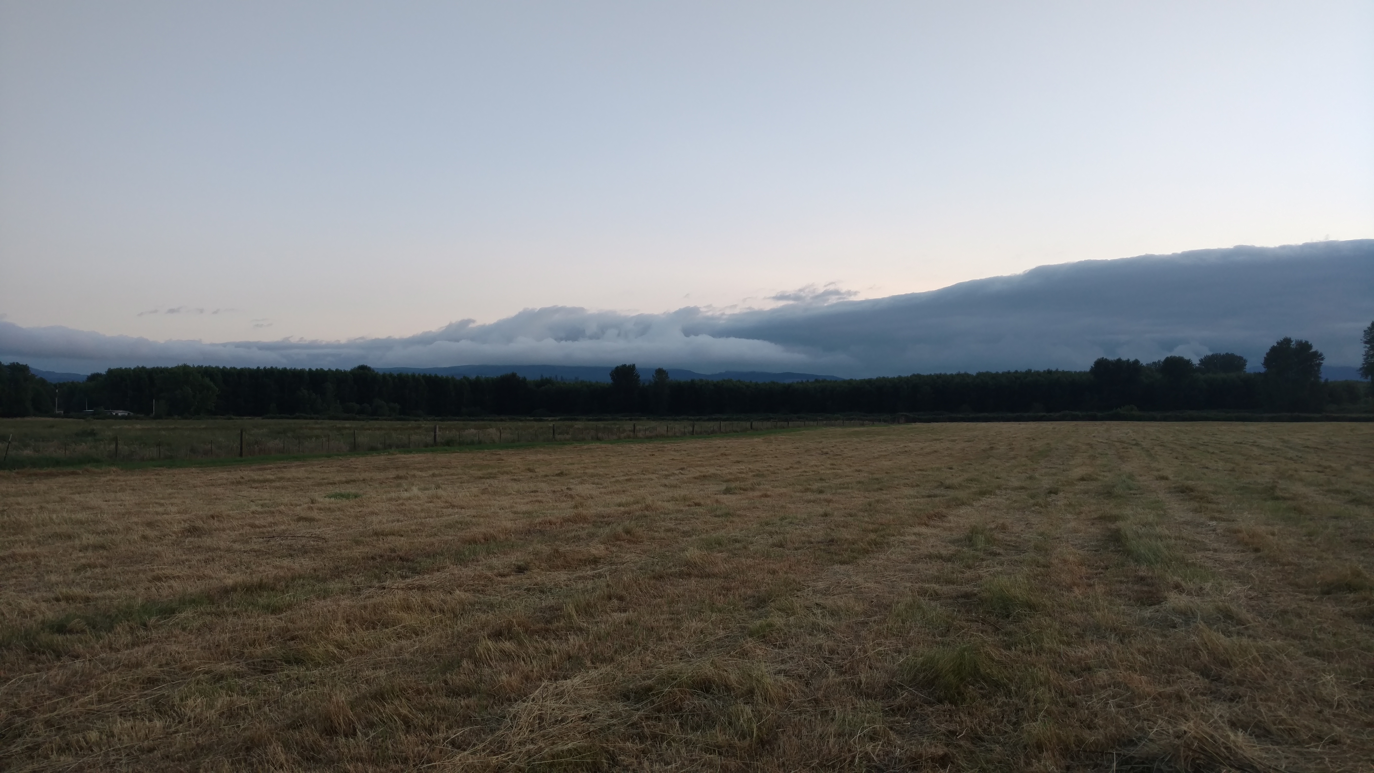 IMG_20190707_204740448.jpg