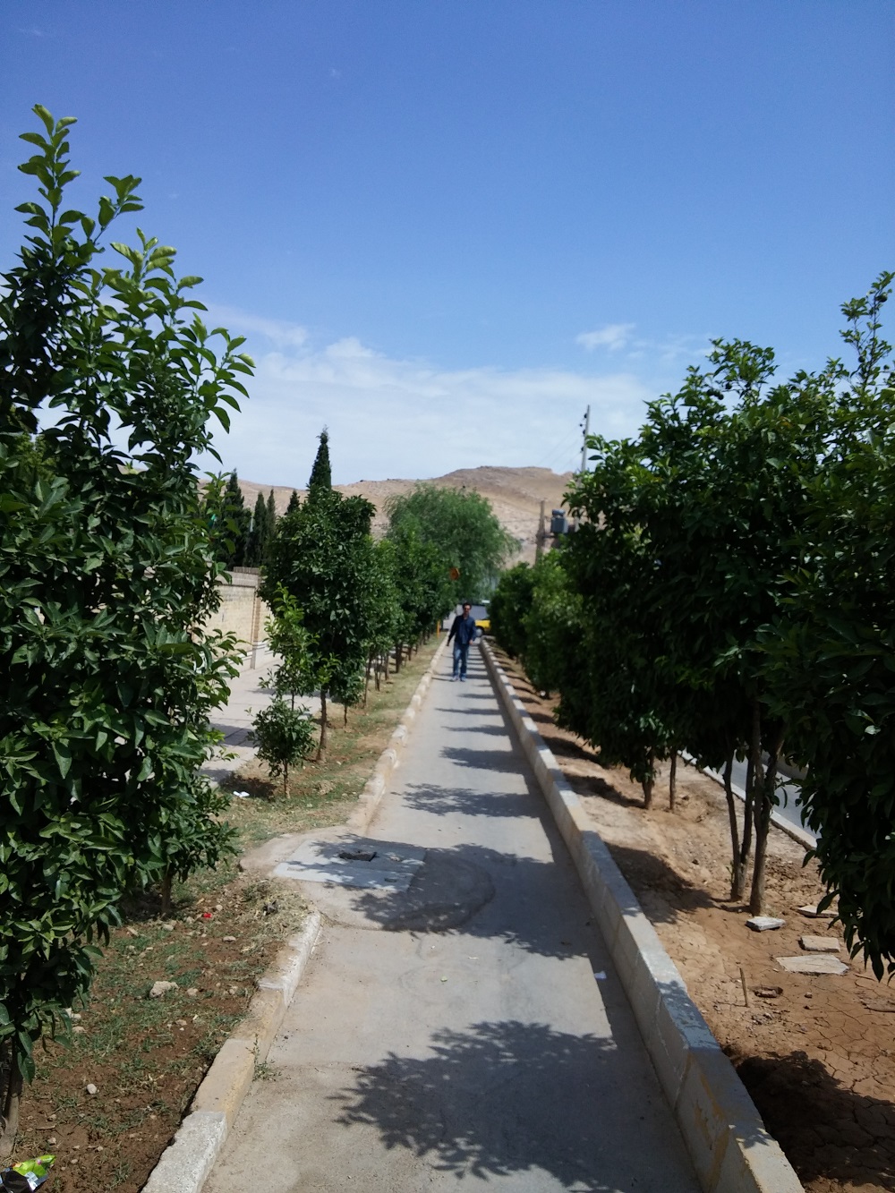 20150726_152515.jpg