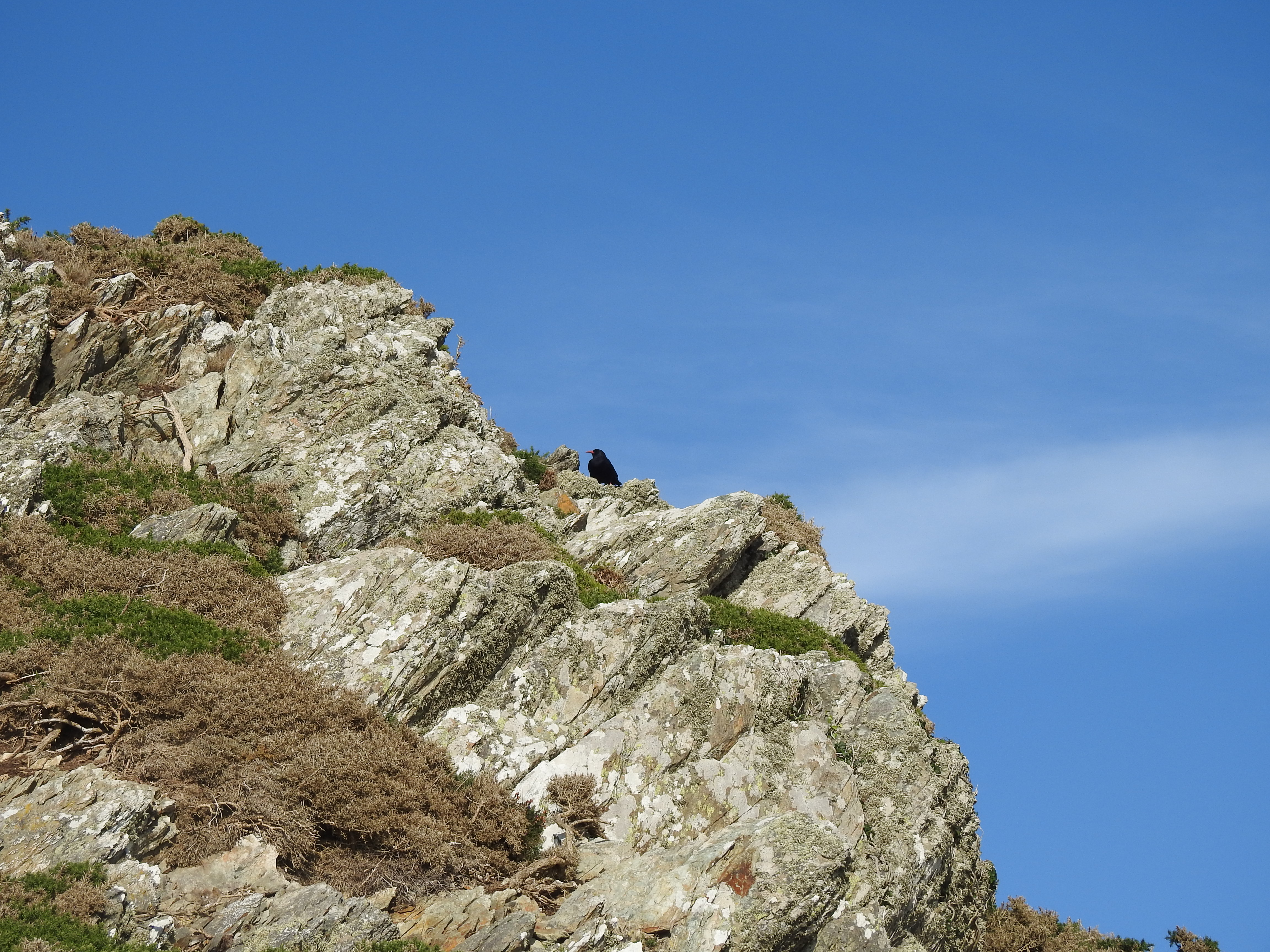 DSCN1625.JPG