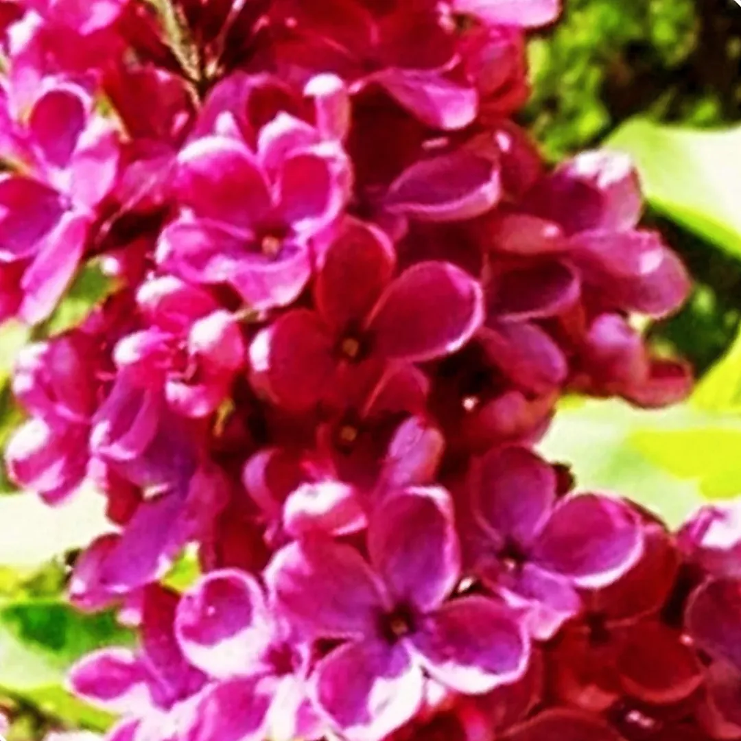 1000160464.webp
