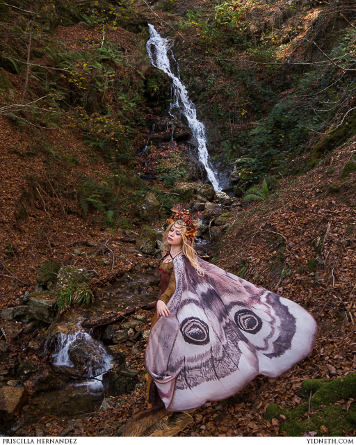 I steal the leaves - autumn fairy - by Priscilla Hernandez (yidneth.com)-2.jpg