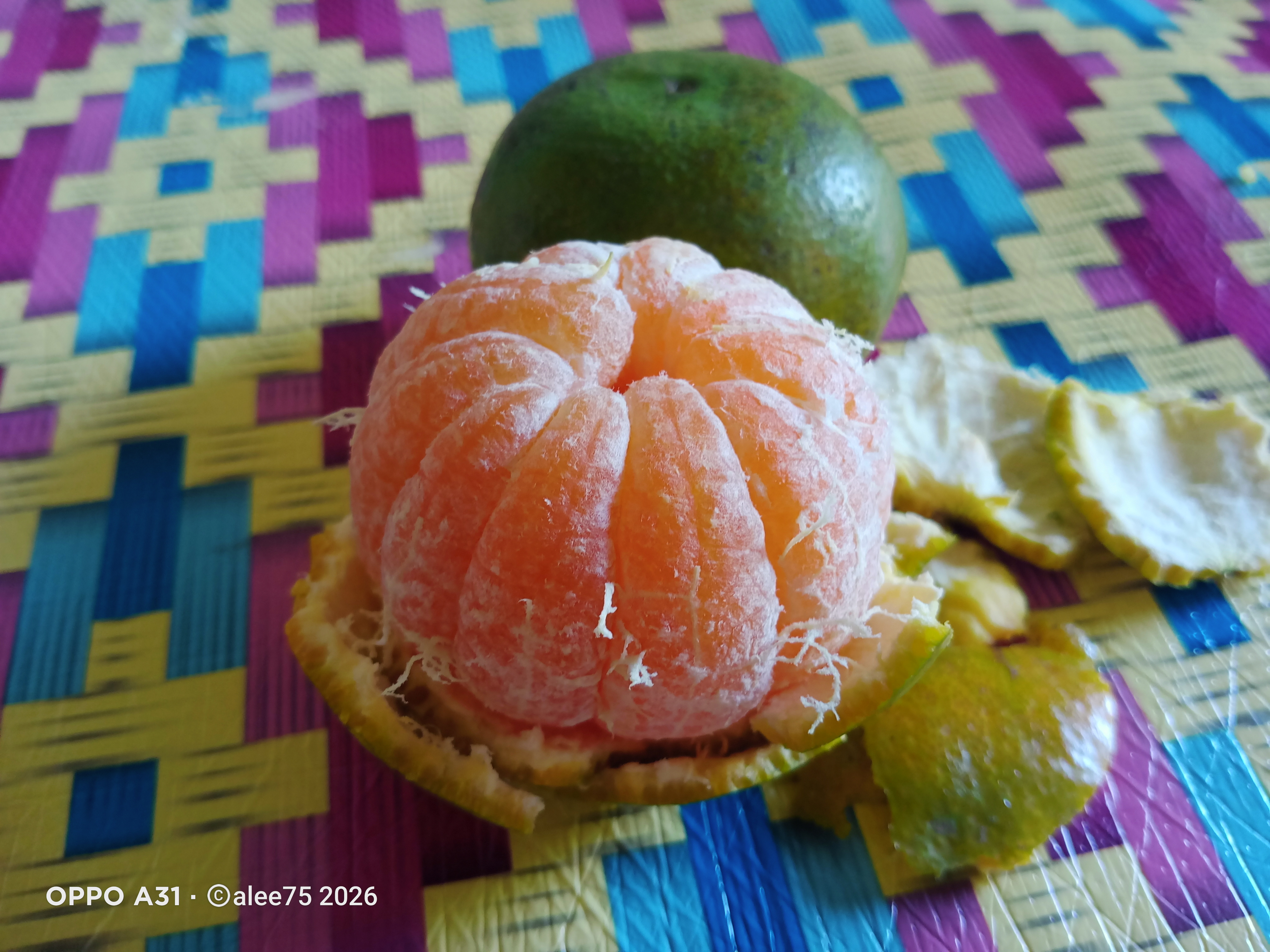 IMG20260613141327.jpg