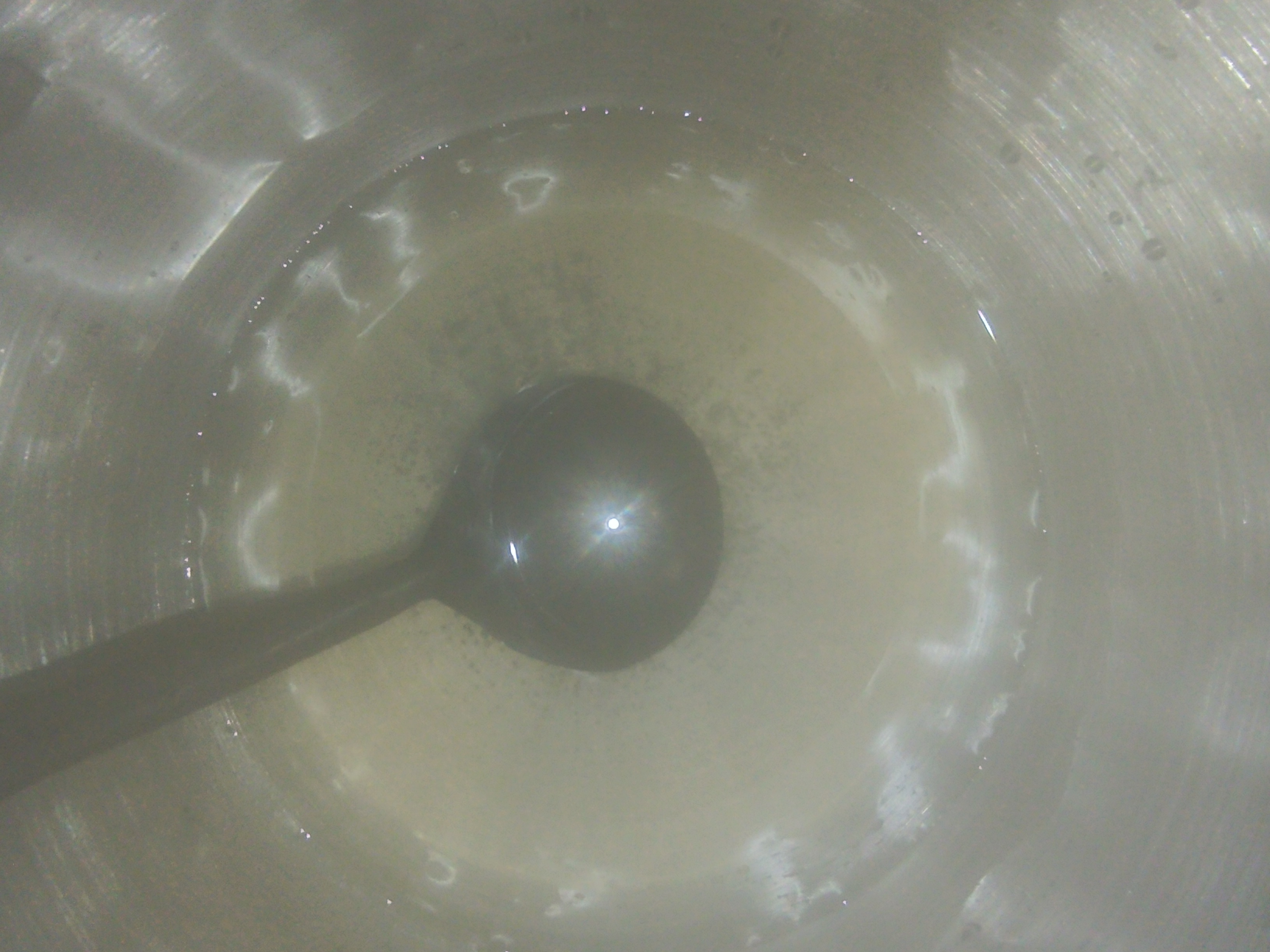 IMG_20241201_124044.jpg