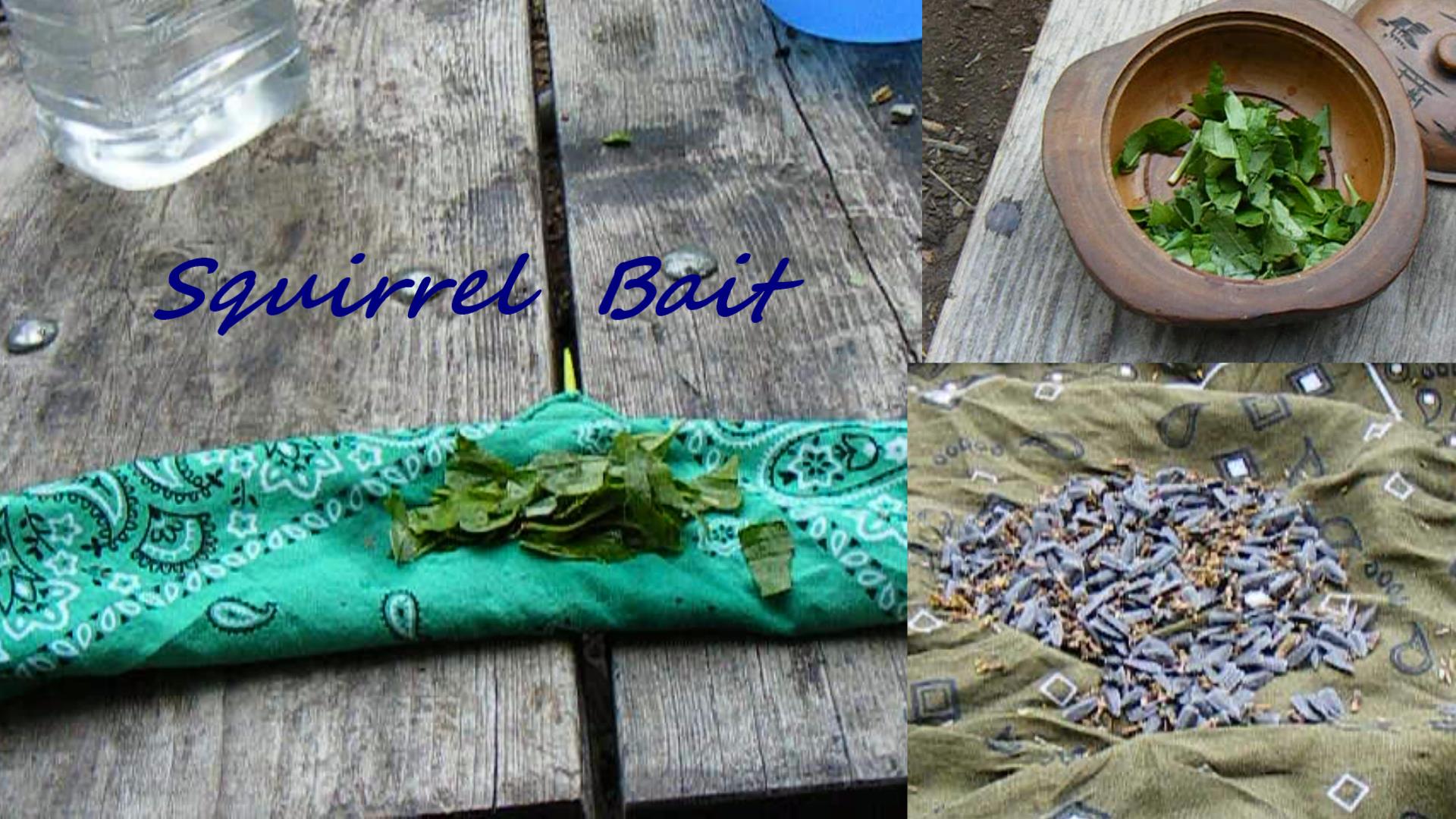 Solo Camping Day 3 TN.jpg