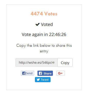 second vote for STEEM.jpg
