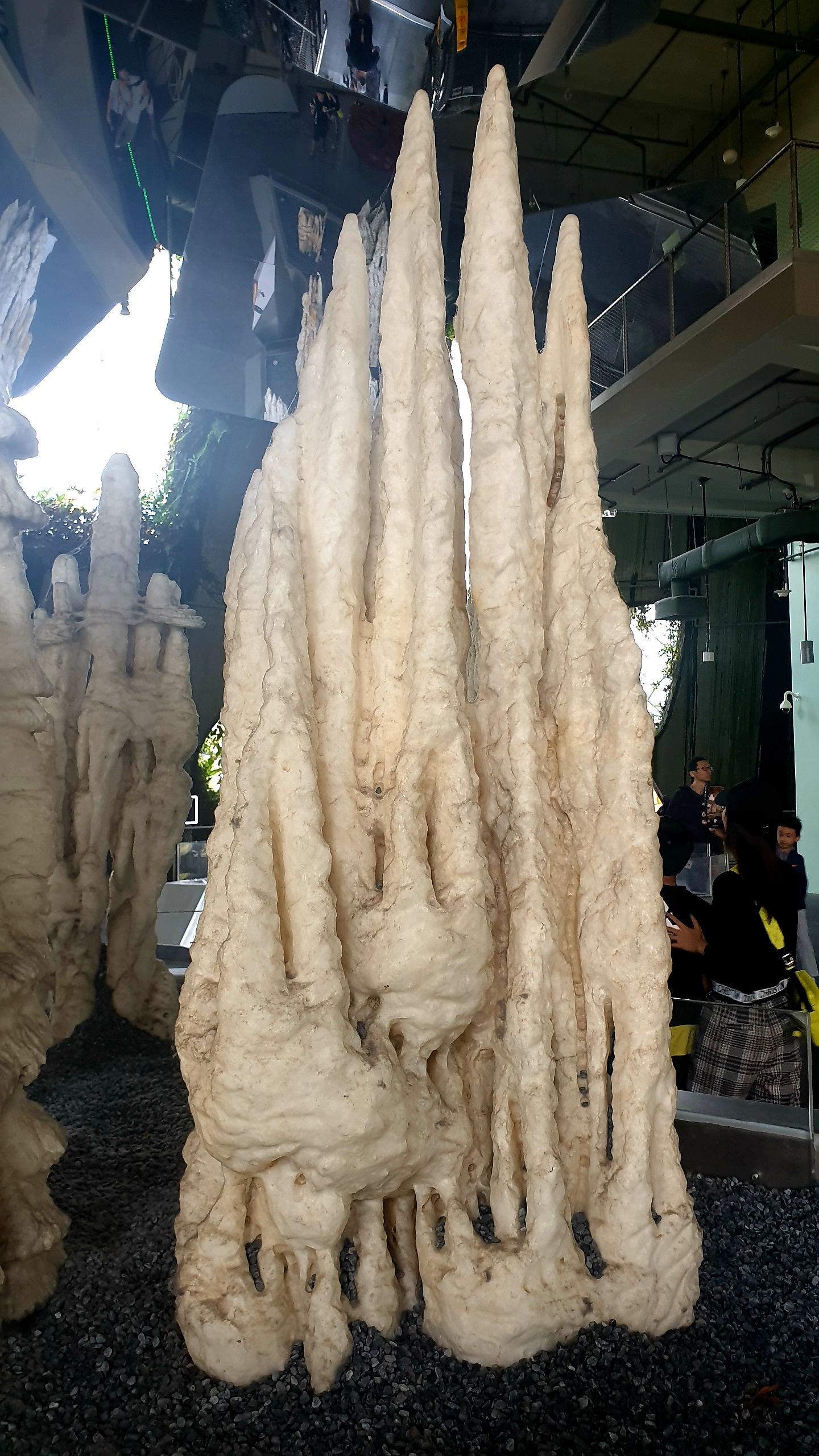 20190823_103923.jpg
