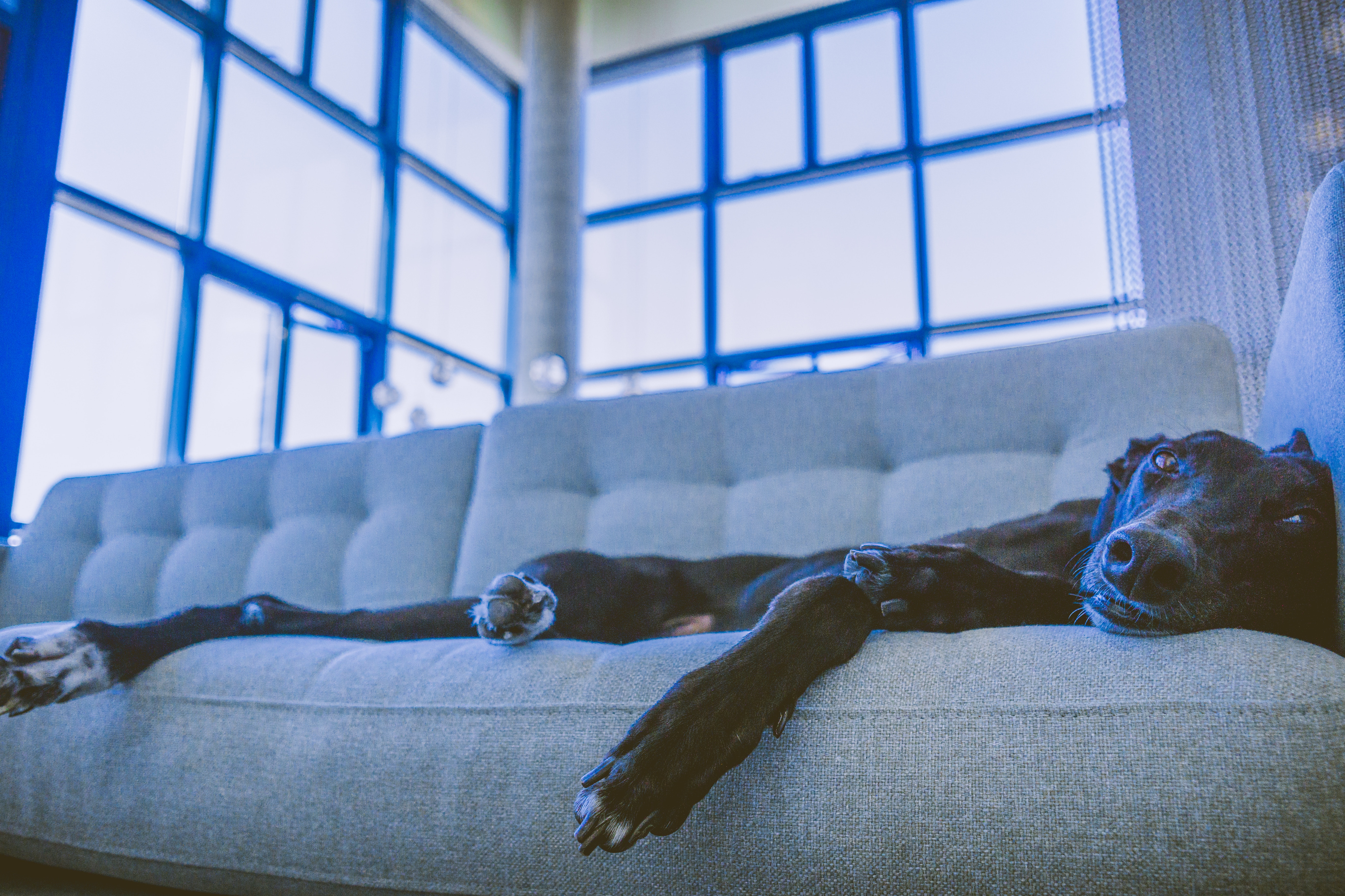derek-story-1062080-unsplash.jpg